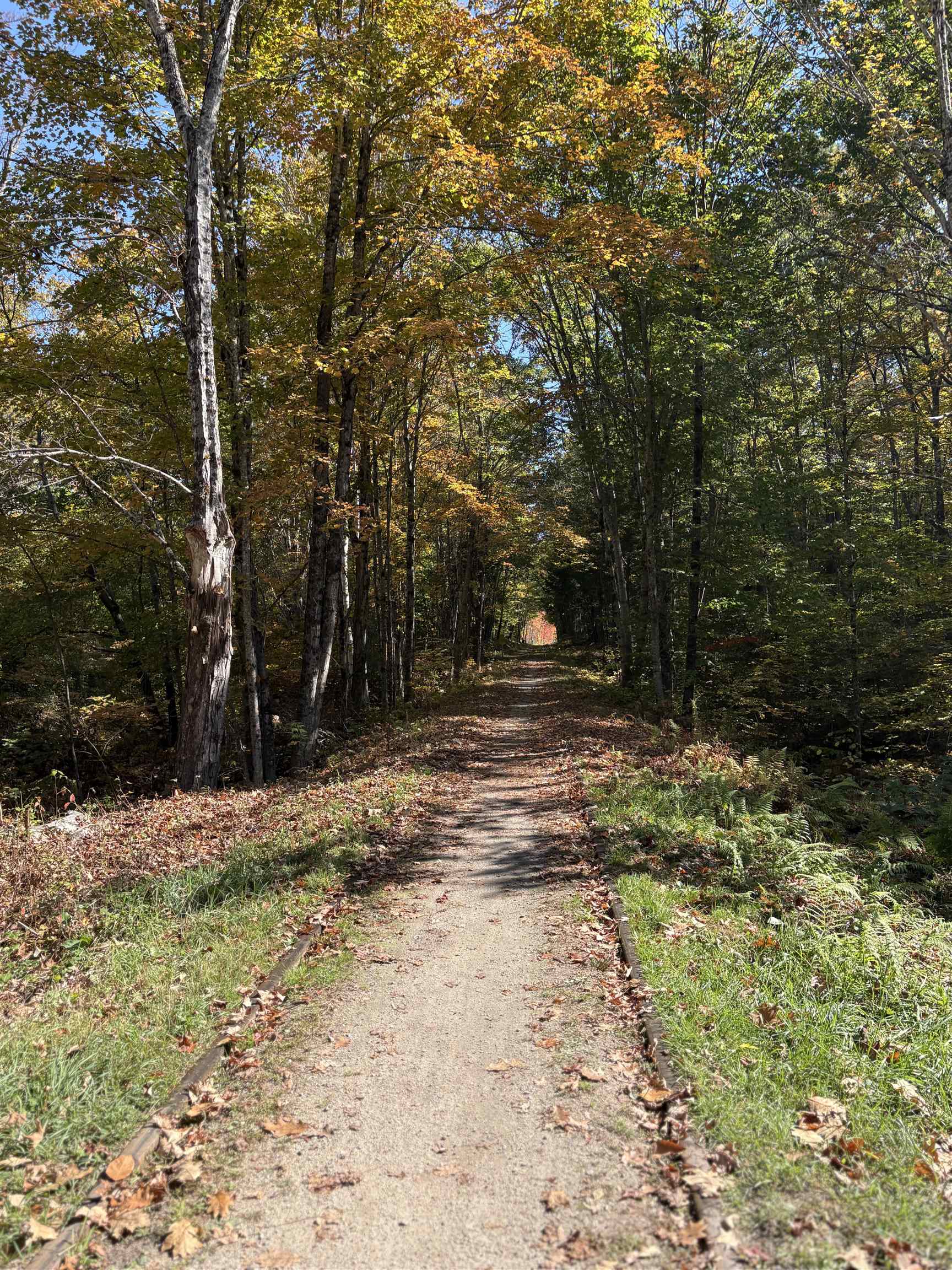 main property photo 46