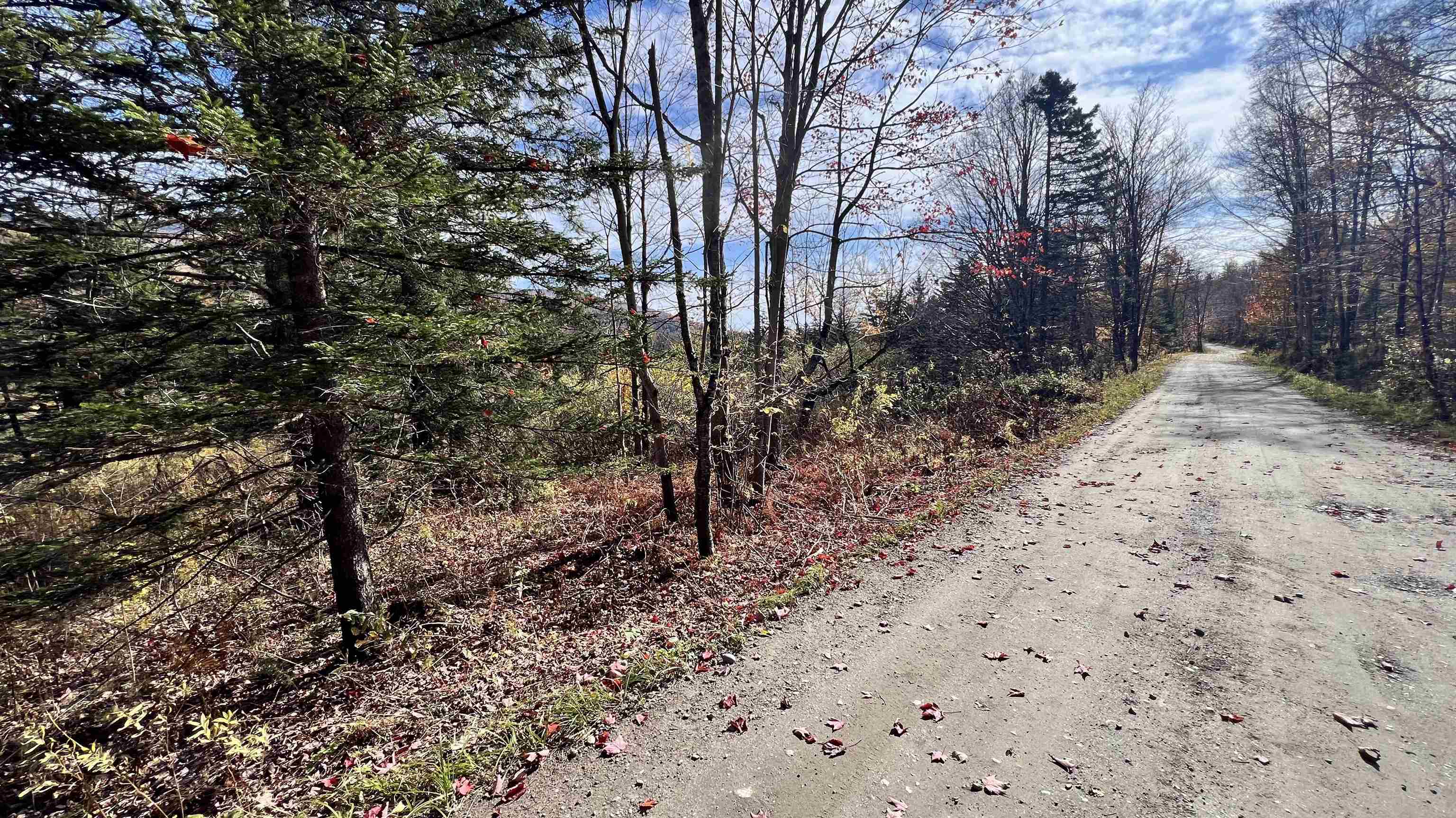 main property photo 48