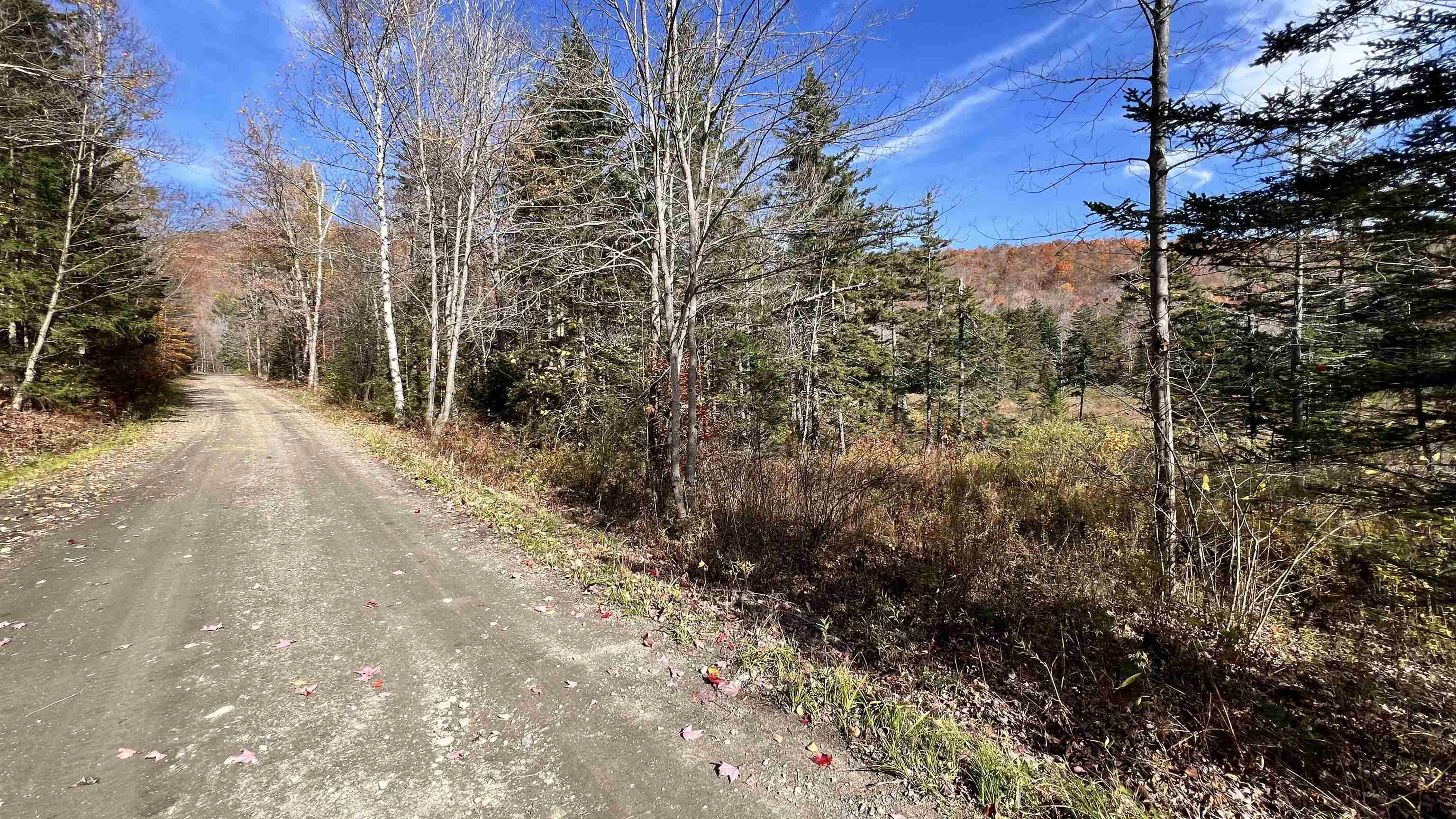 main property photo 49