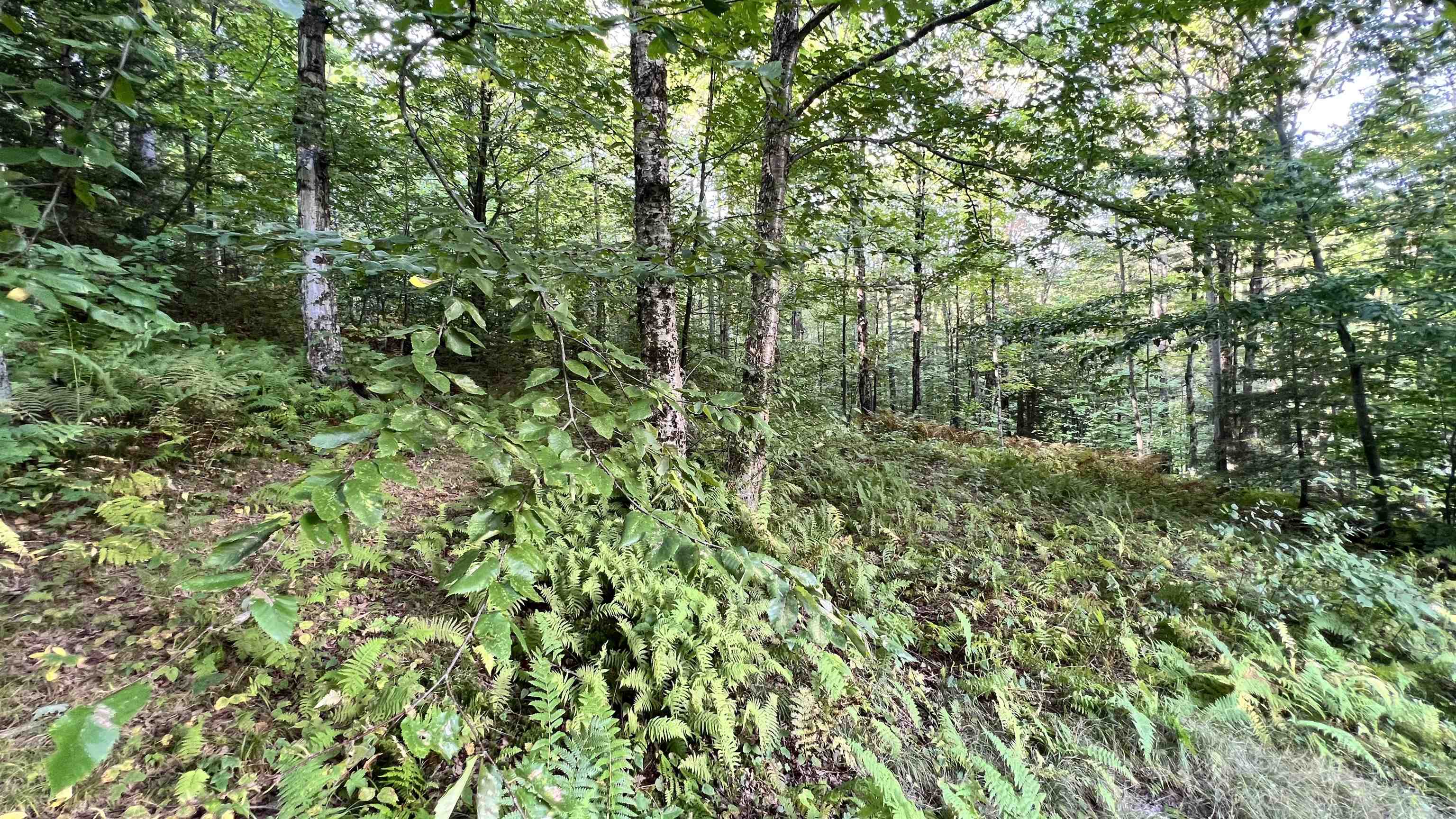 main property photo 45