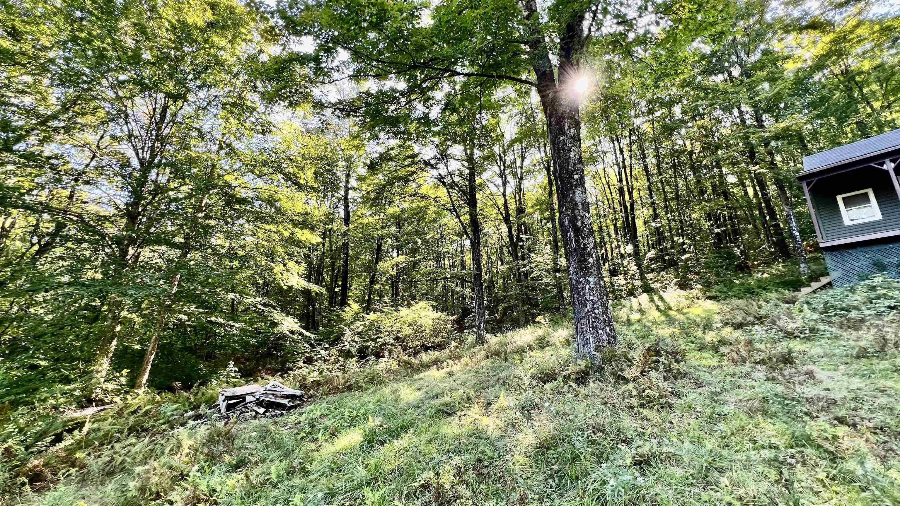 main property photo 46