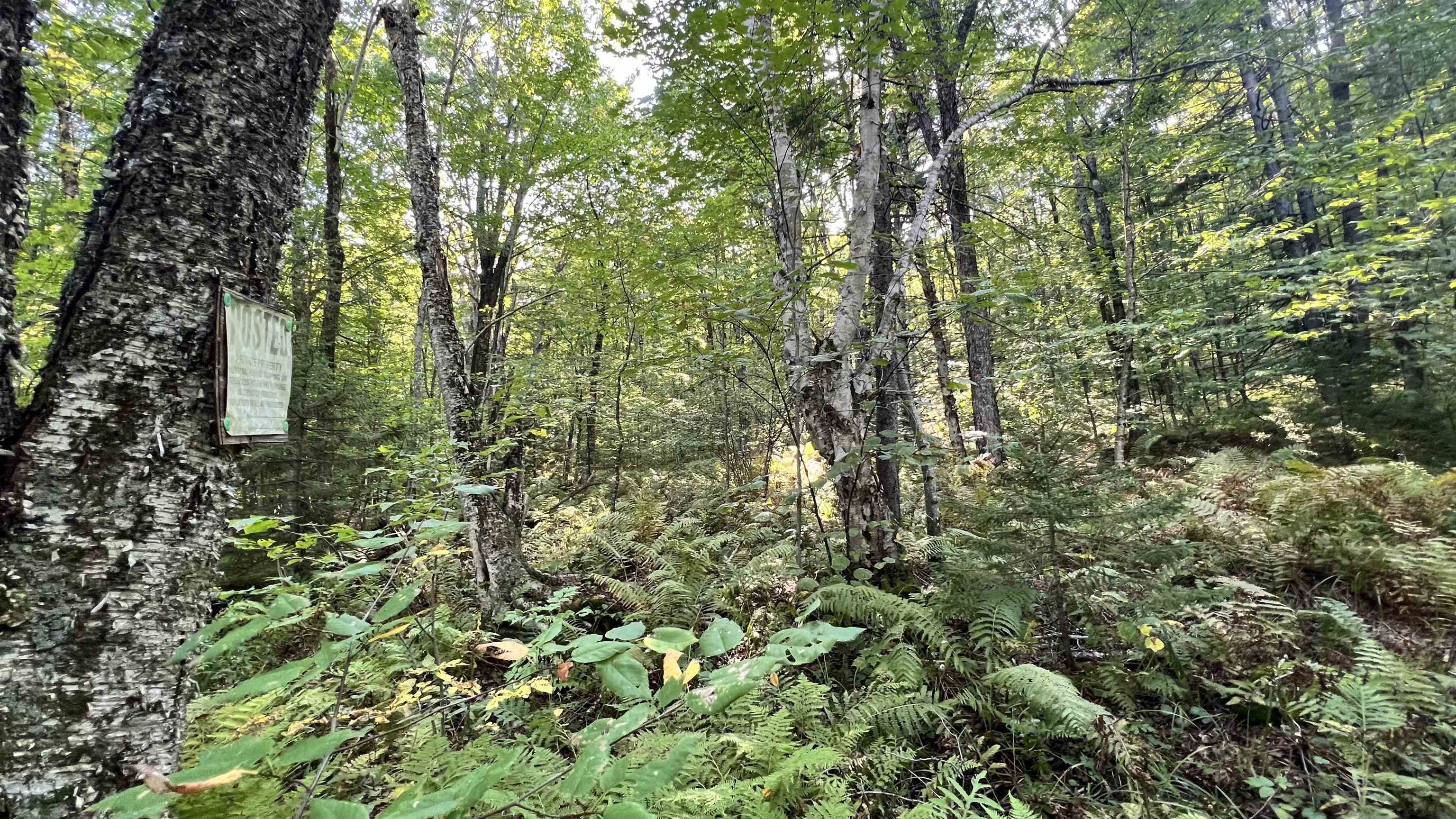 main property photo 52