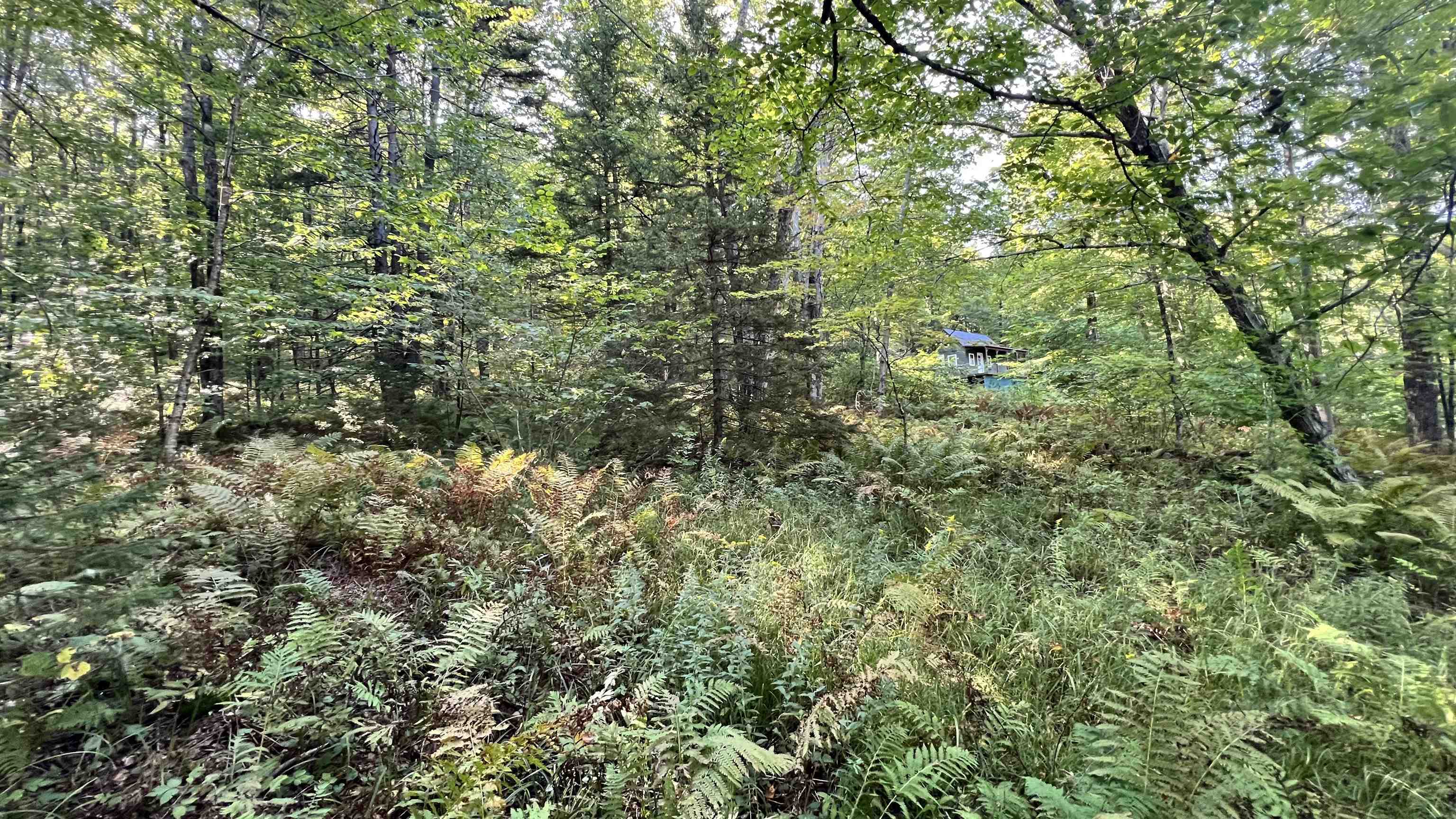 main property photo 56