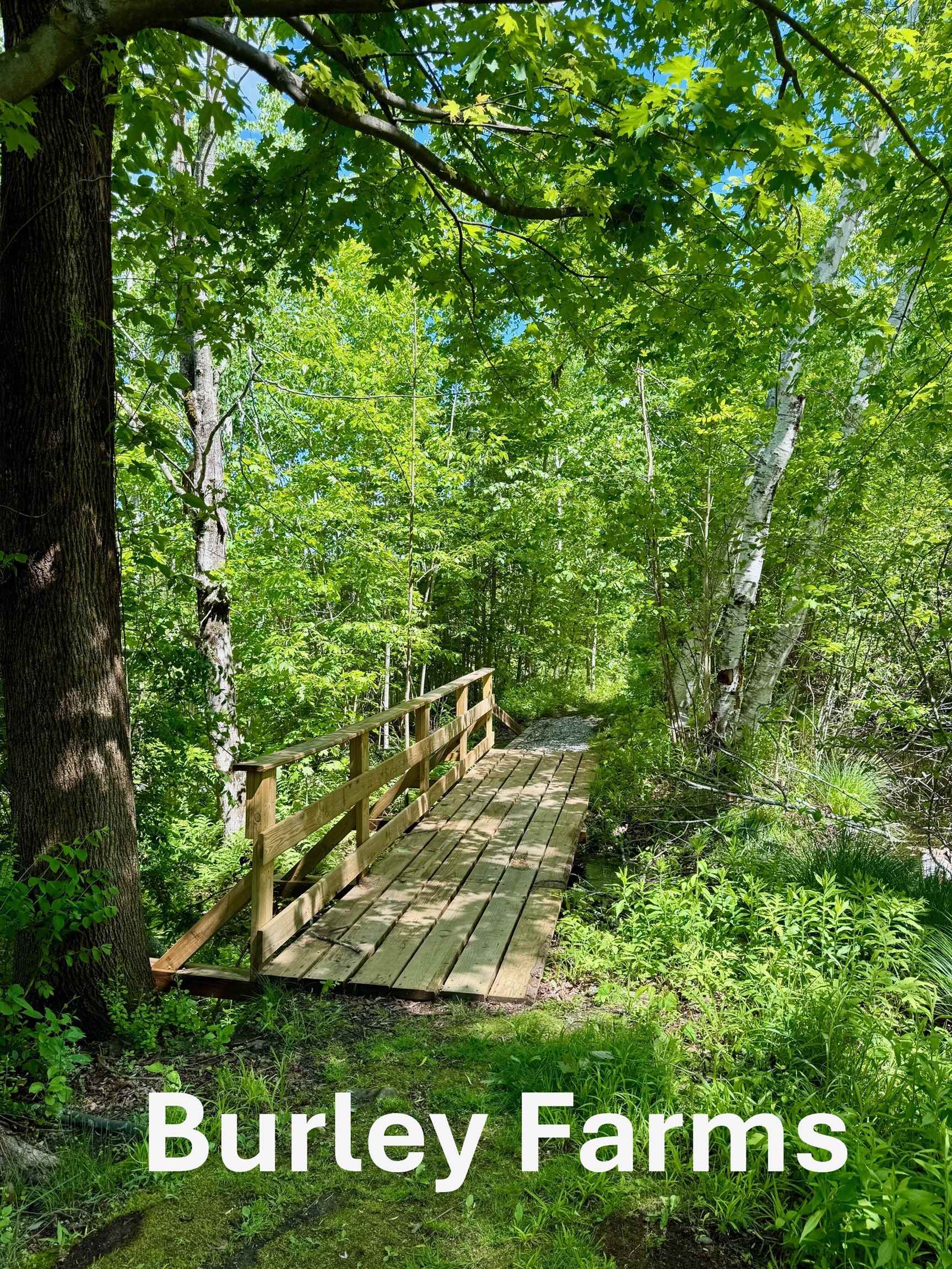 main property photo 53