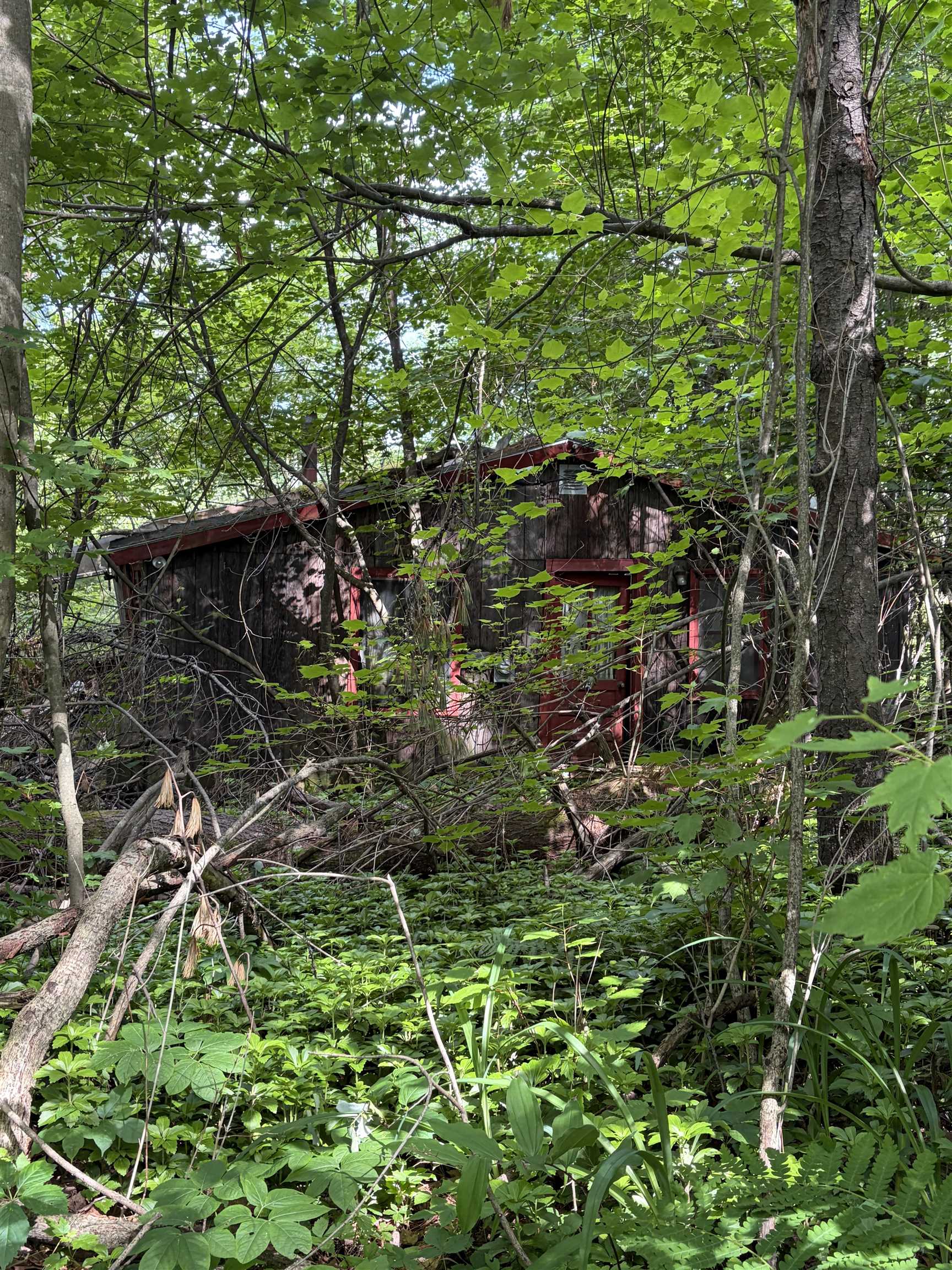 main property photo 5