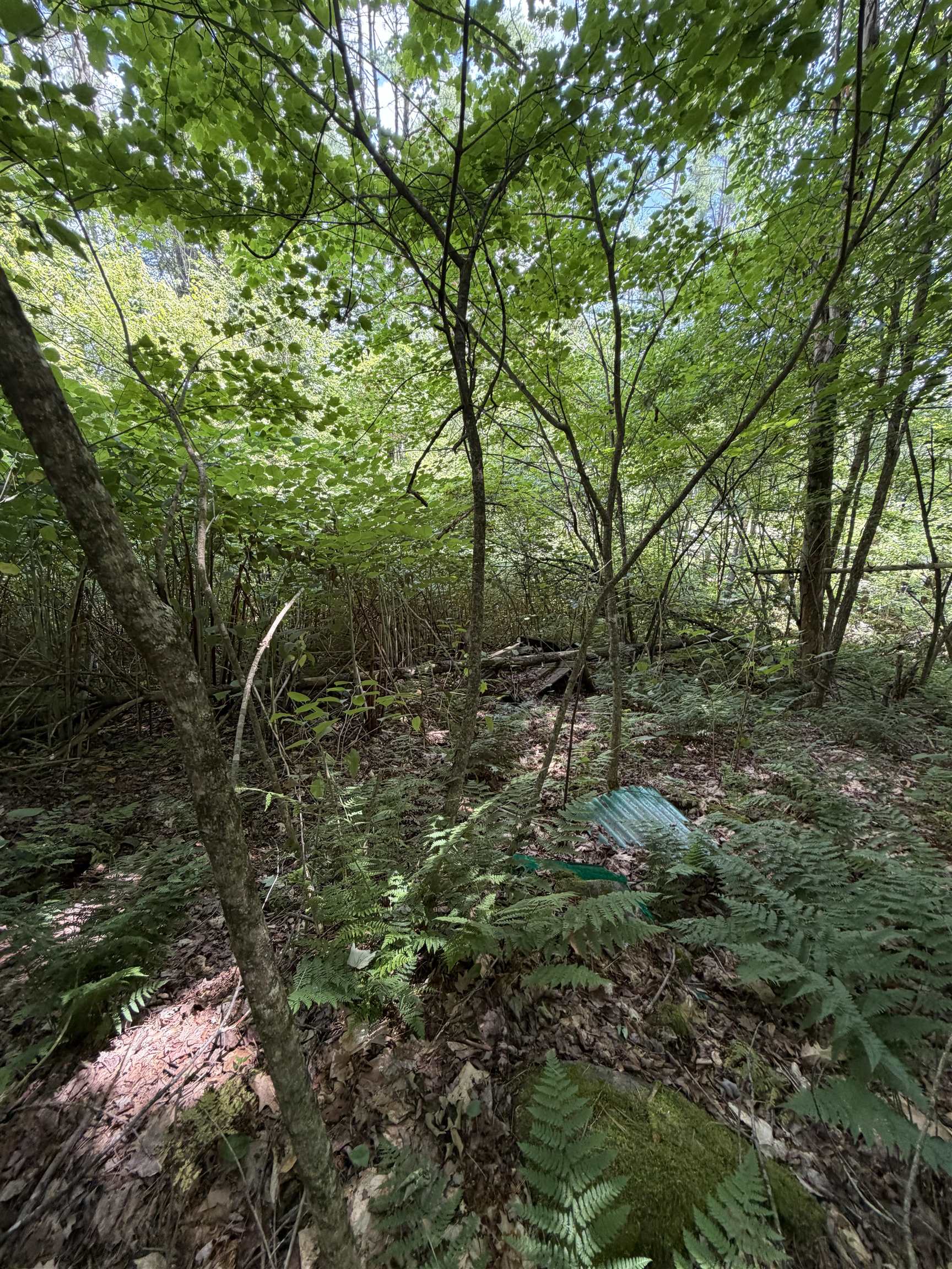 main property photo 8