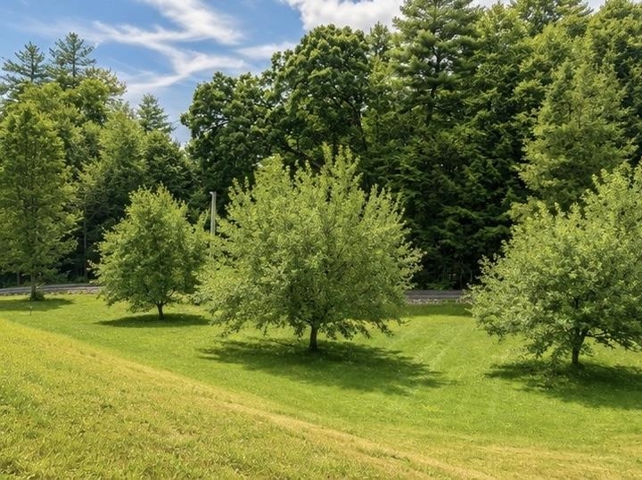 main property photo 55
