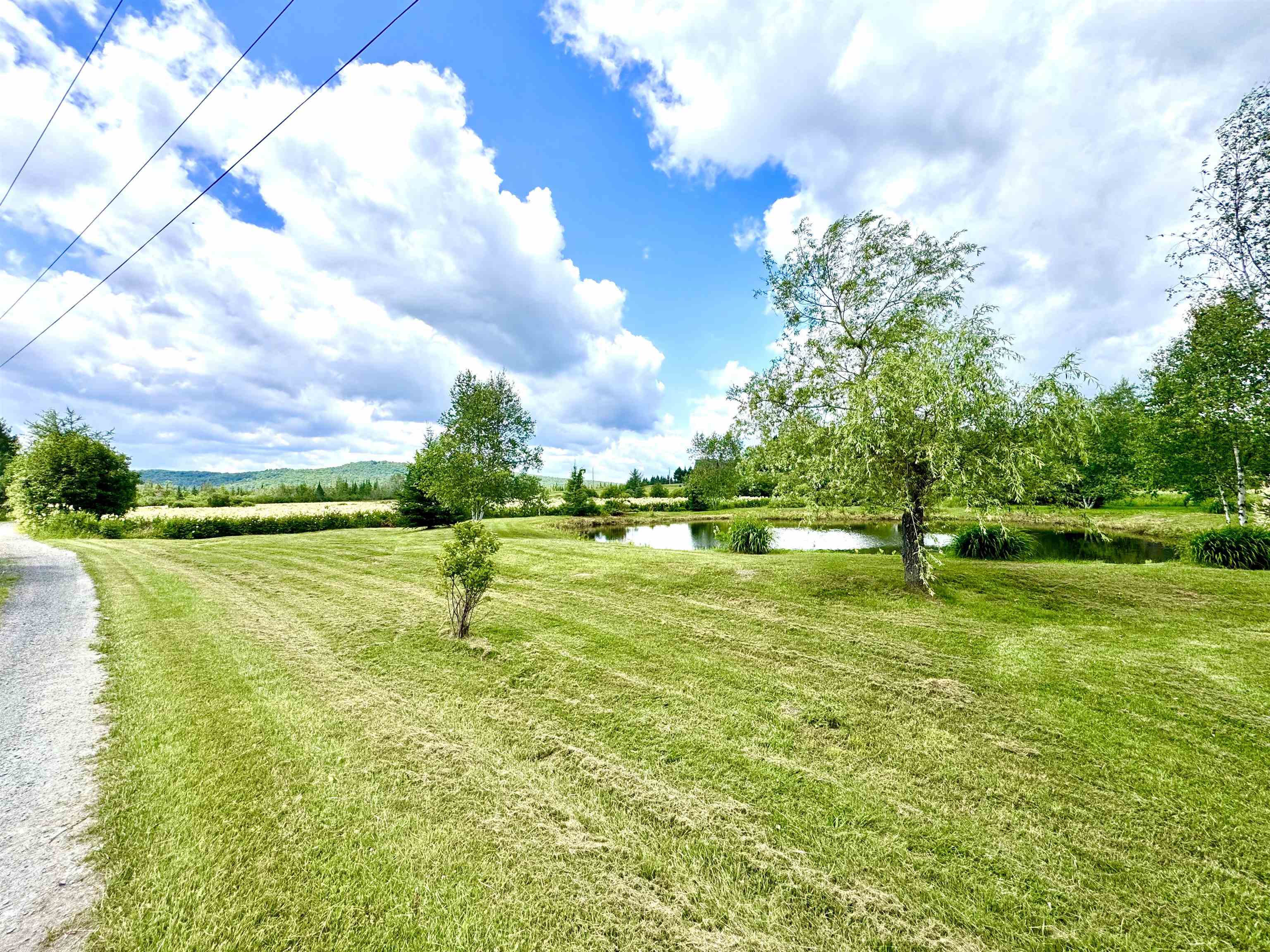 main property photo 56