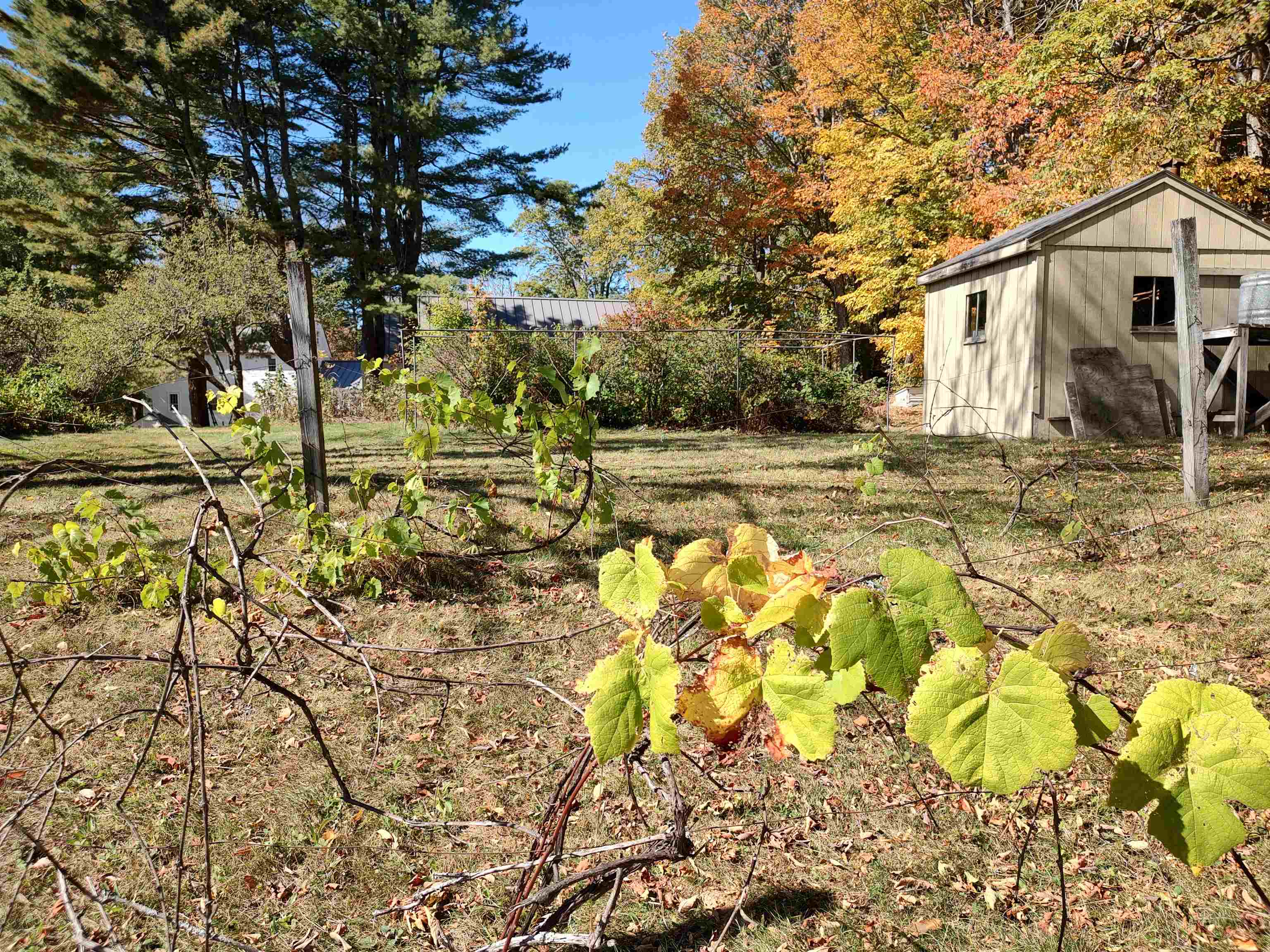 main property photo 40