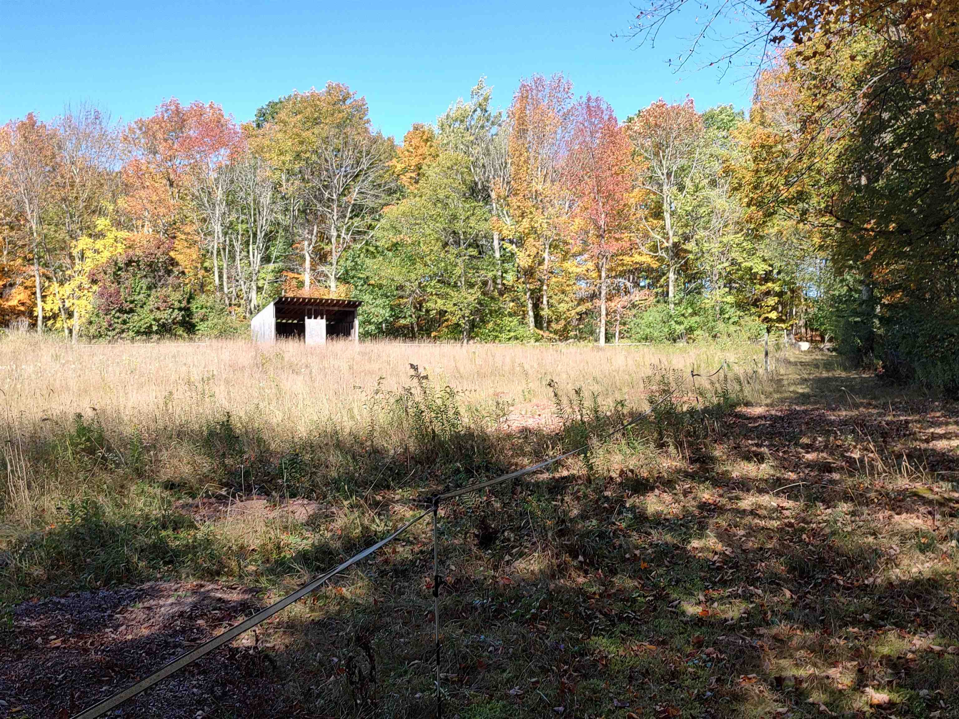 main property photo 42