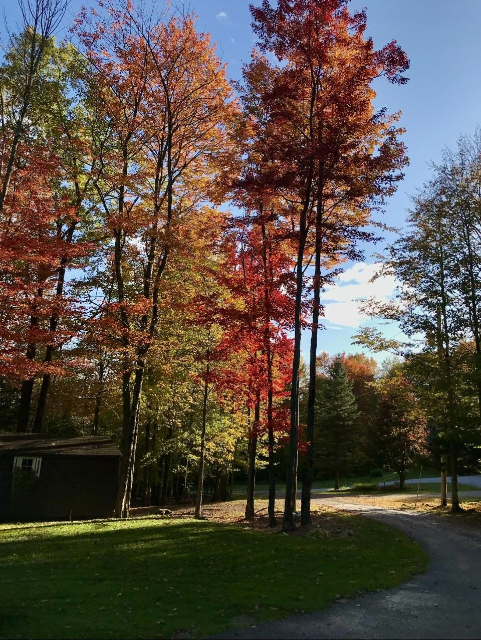 main property photo 57