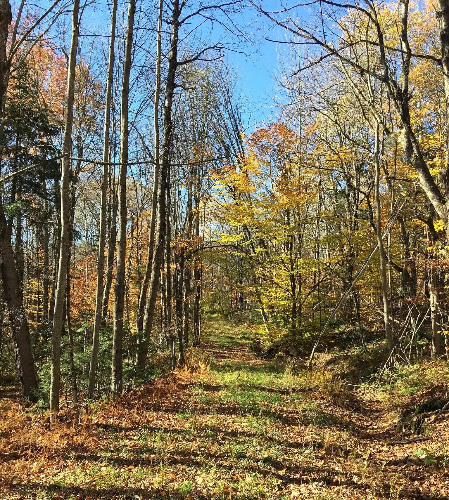 main property photo 19