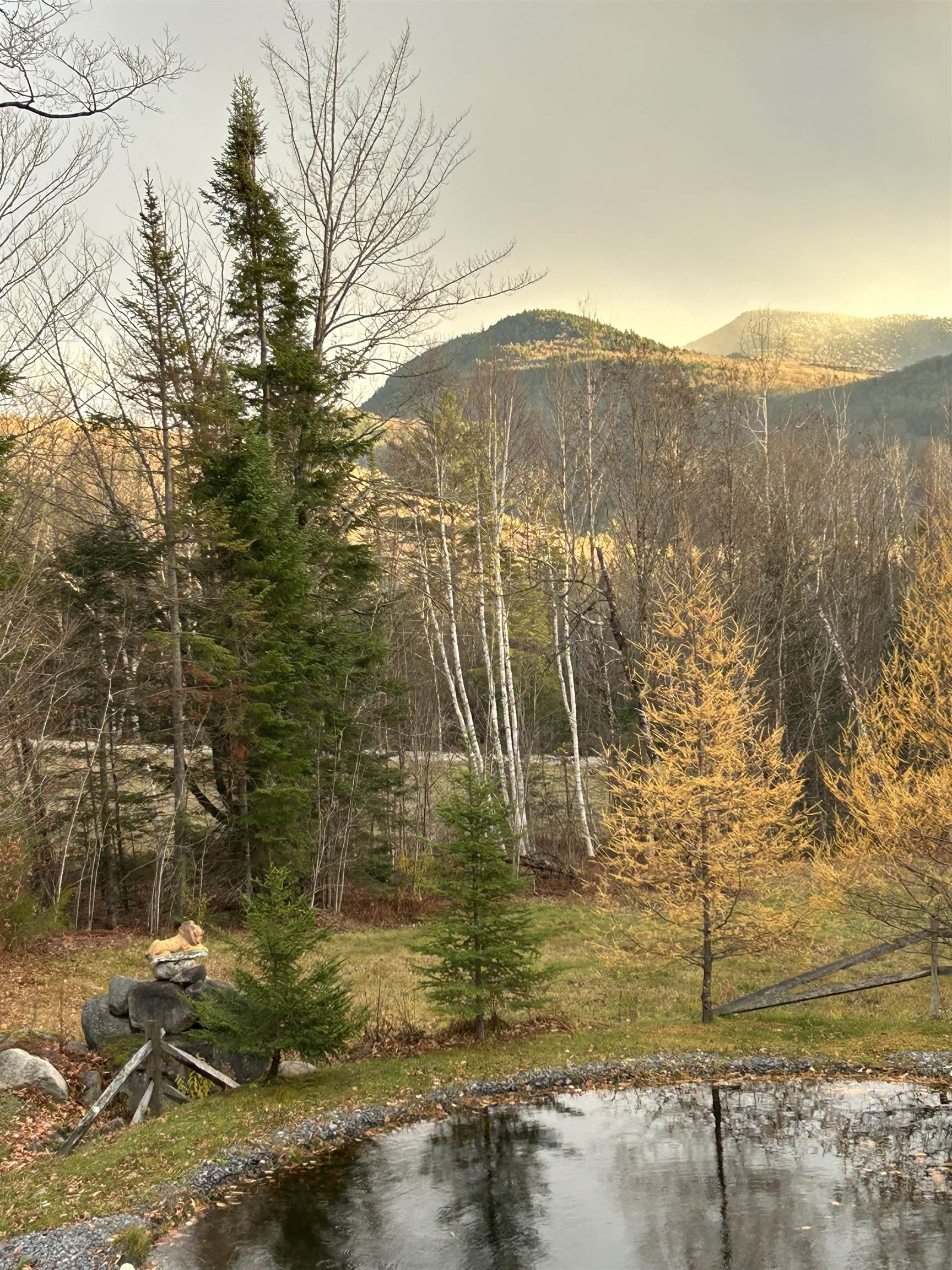 main property photo 50