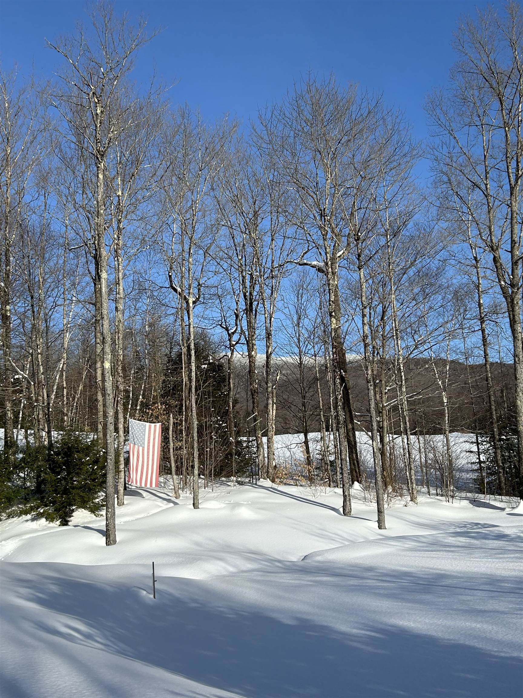 main property photo 57