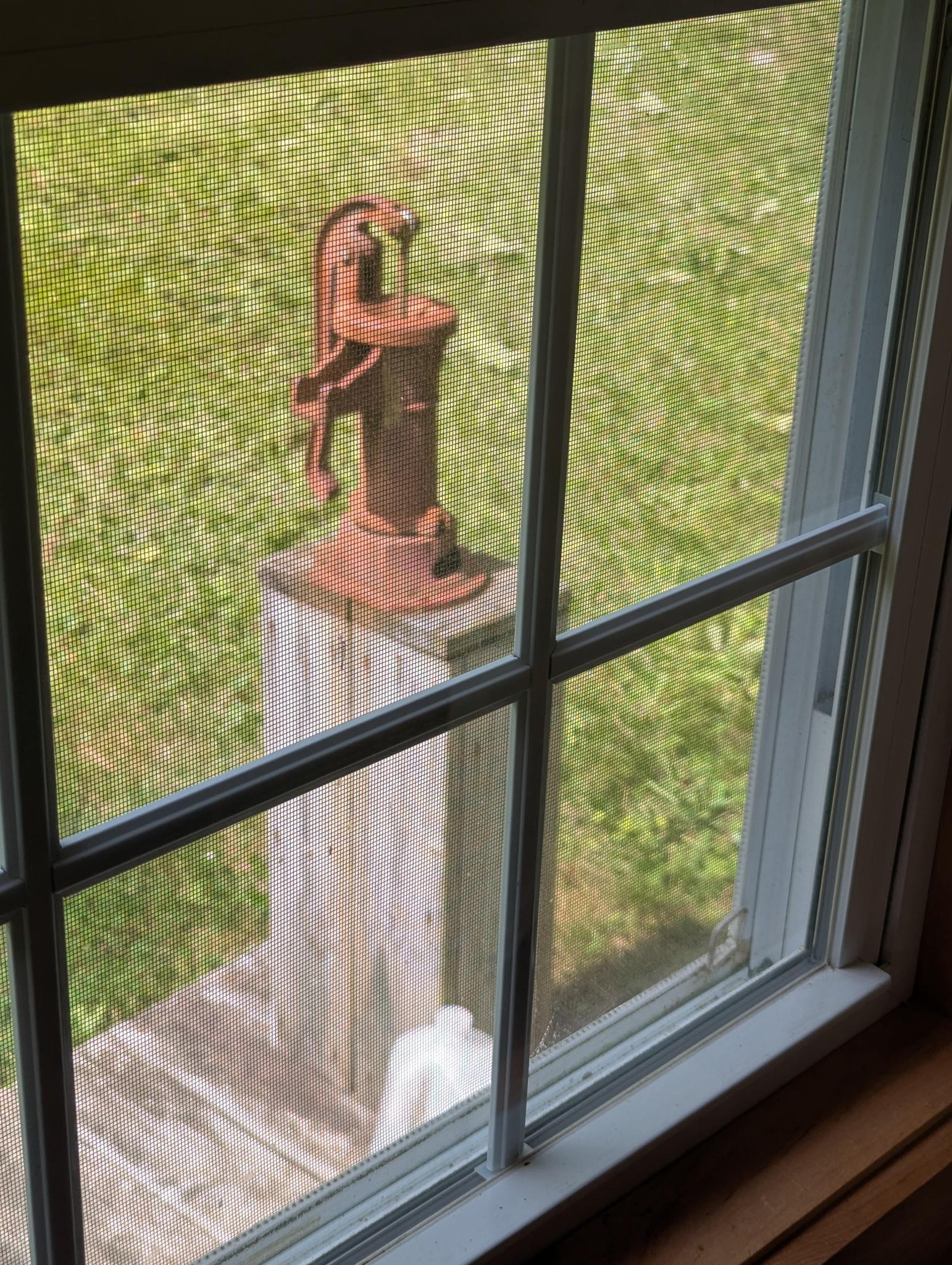 main property photo 48