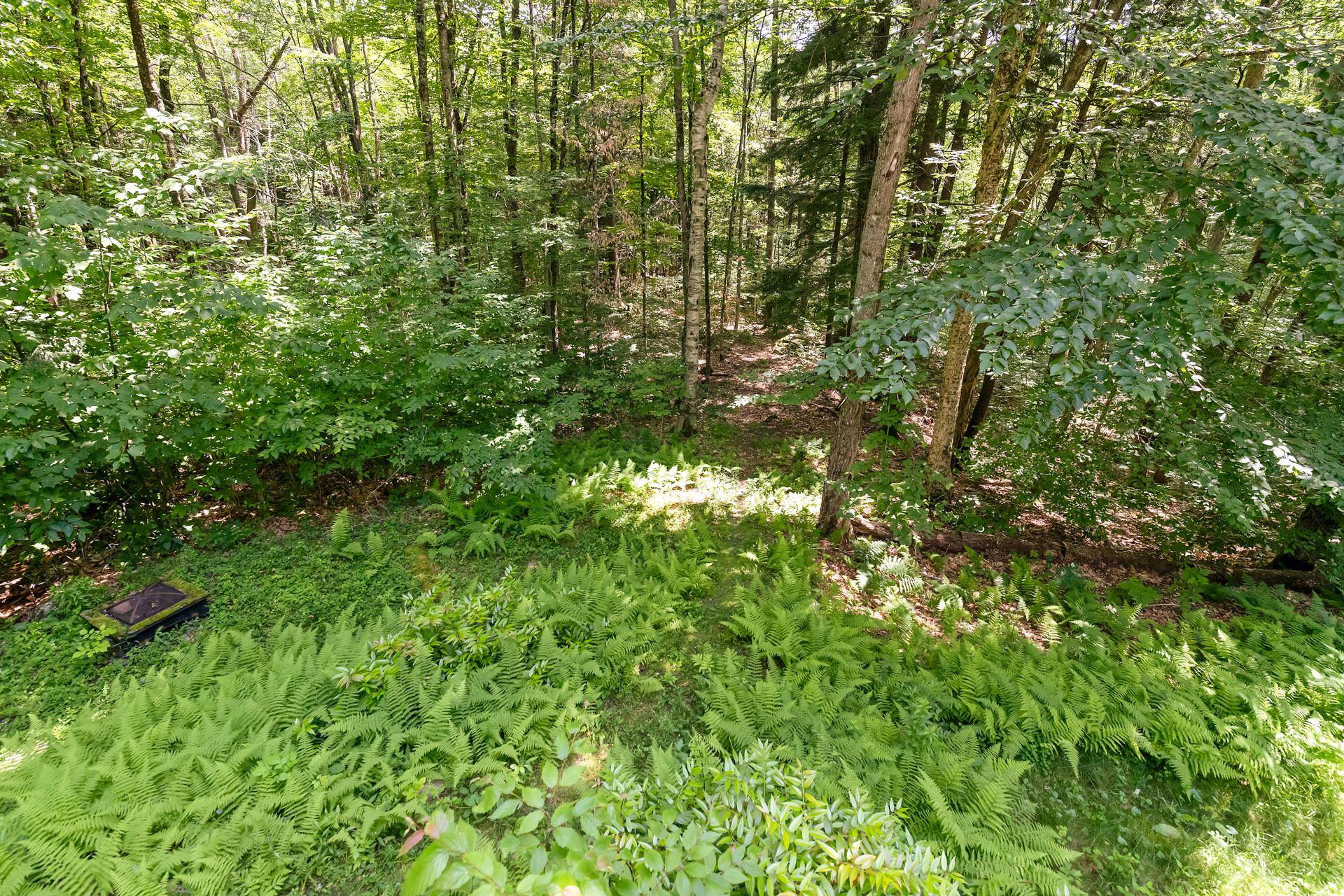 main property photo 36