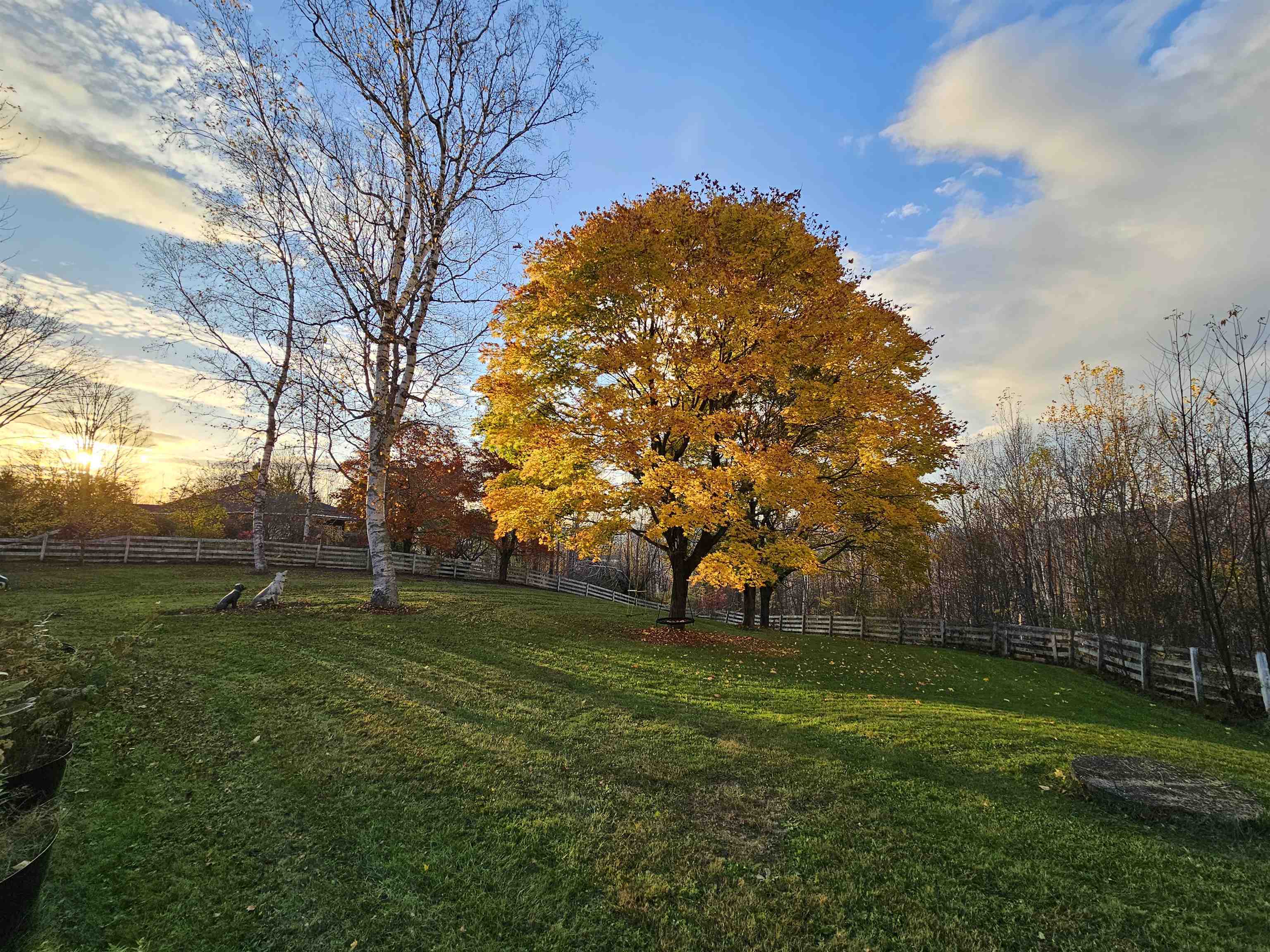 main property photo 51