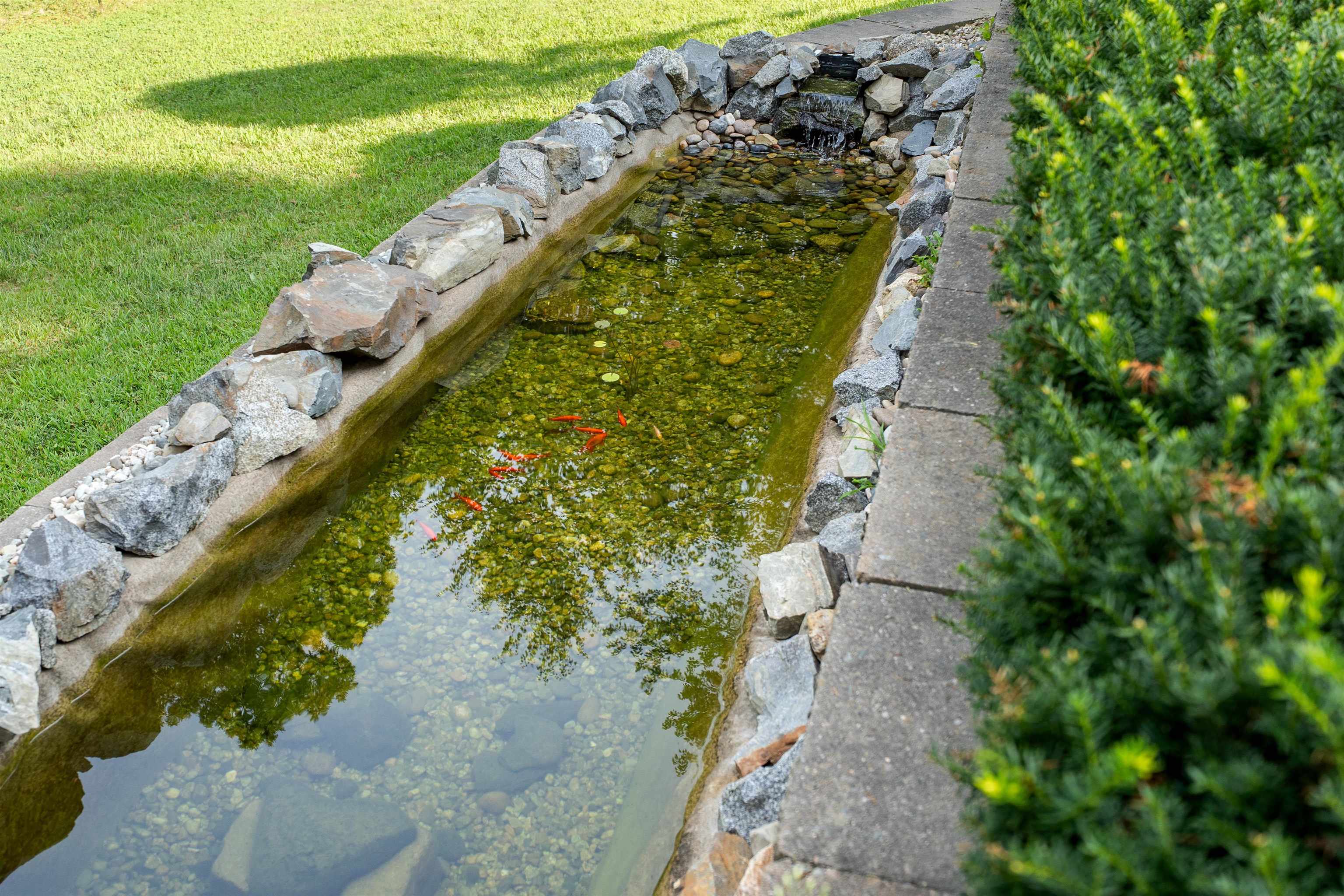 main property photo 56