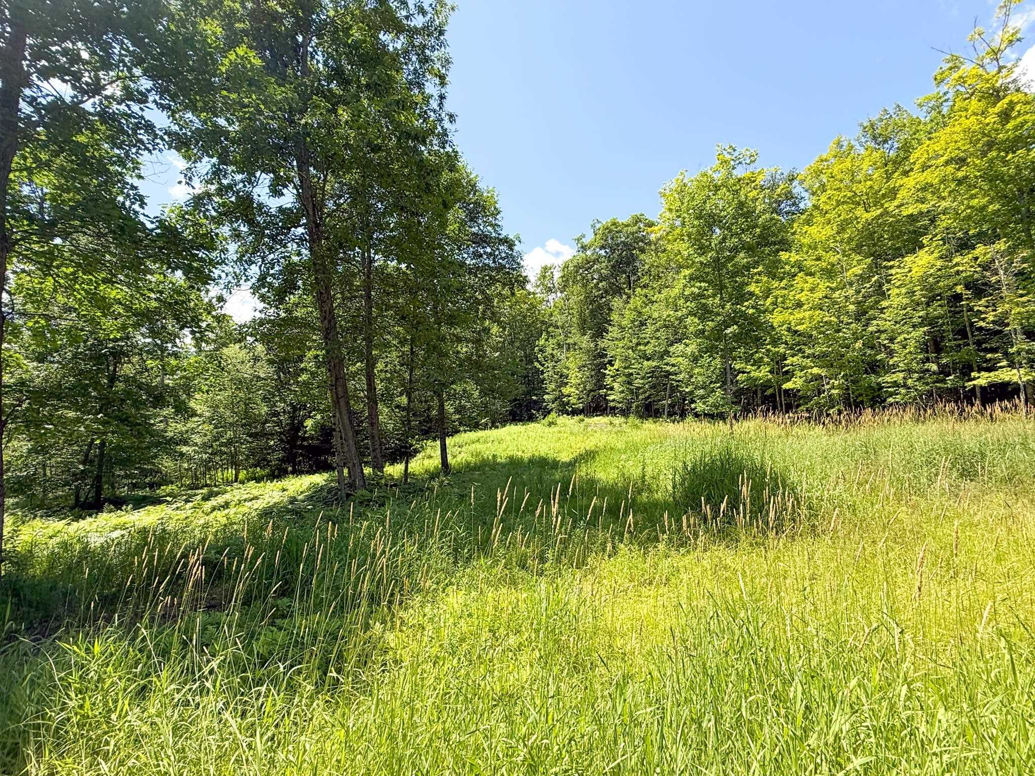 main property photo 56