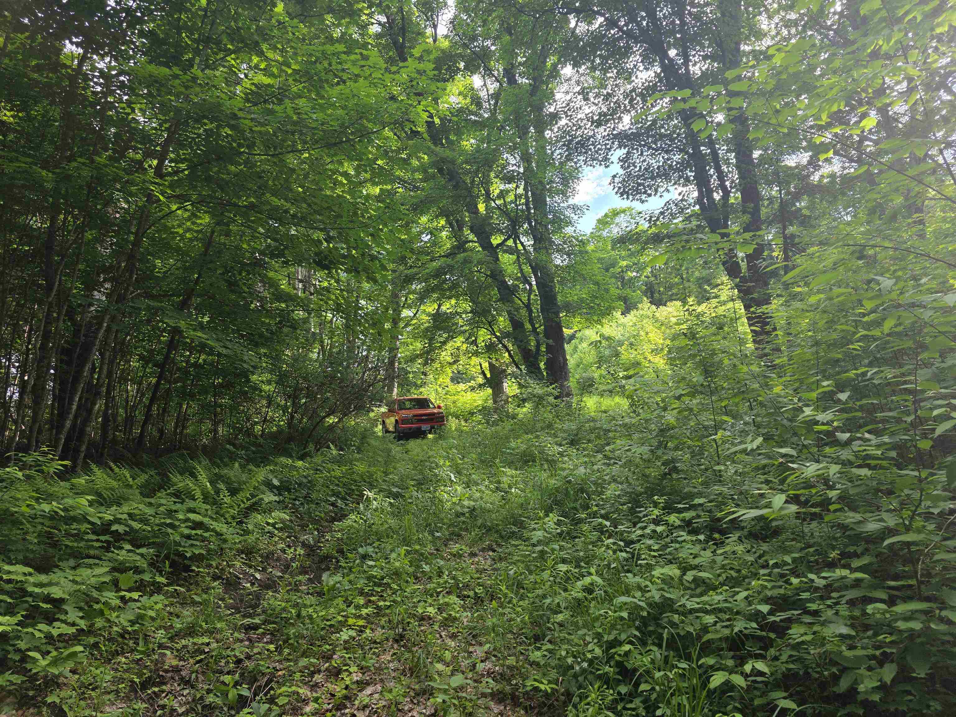 main property photo 14