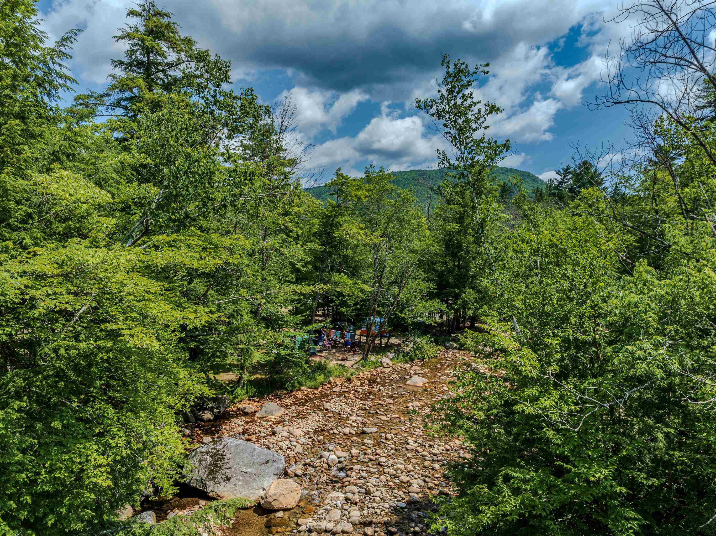 main property photo 53