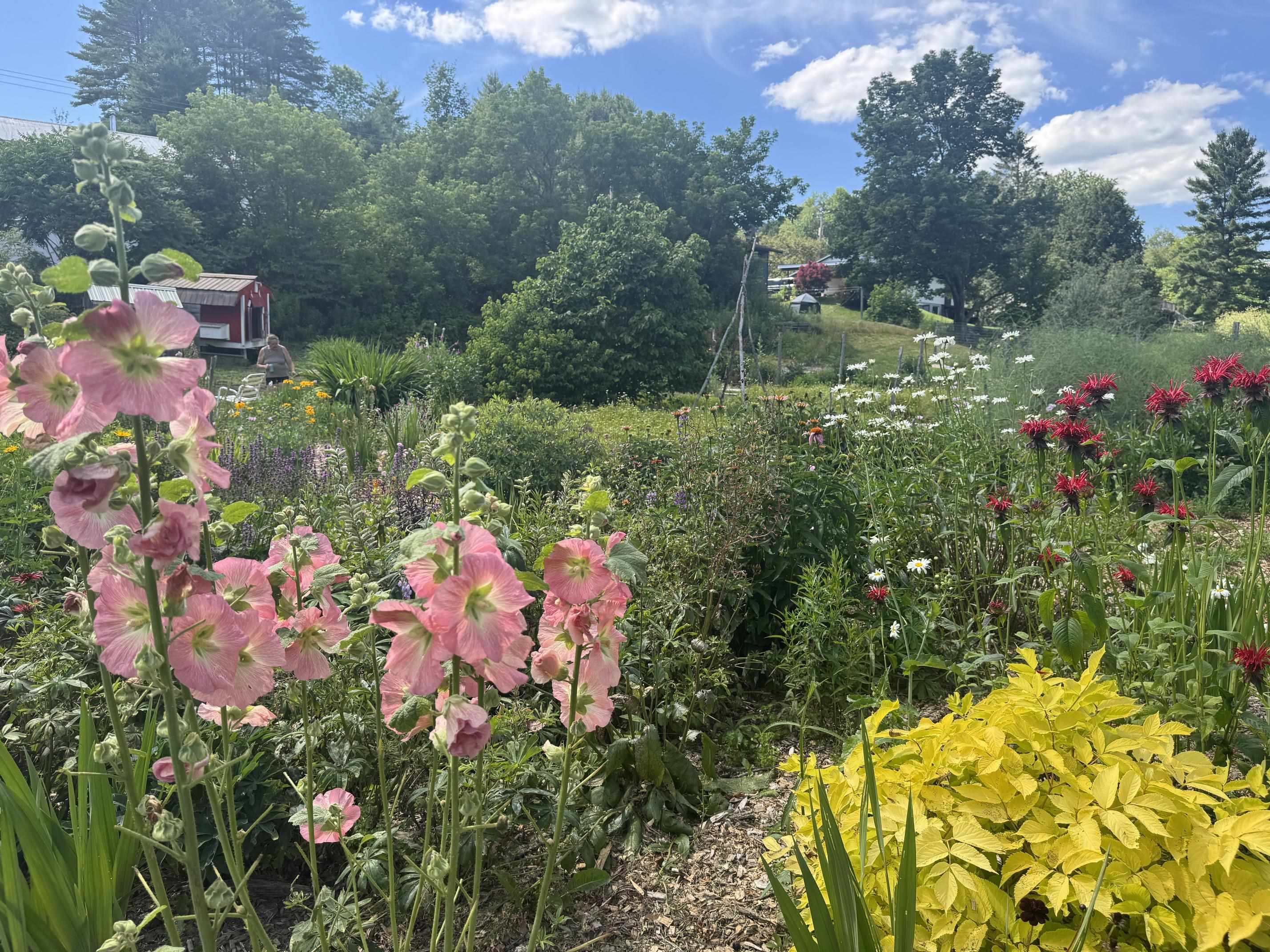 main property photo 45