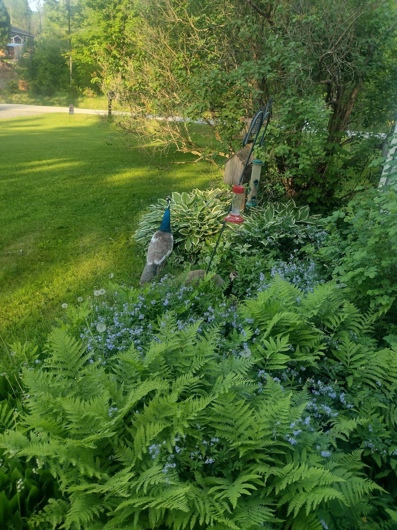 main property photo 26