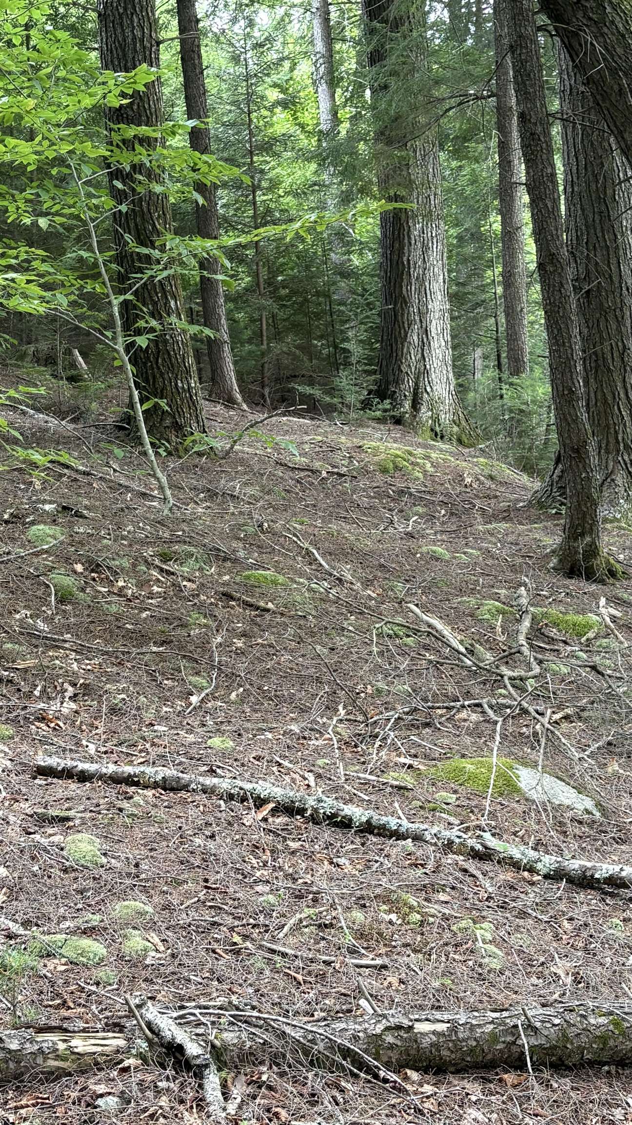 main property photo 18