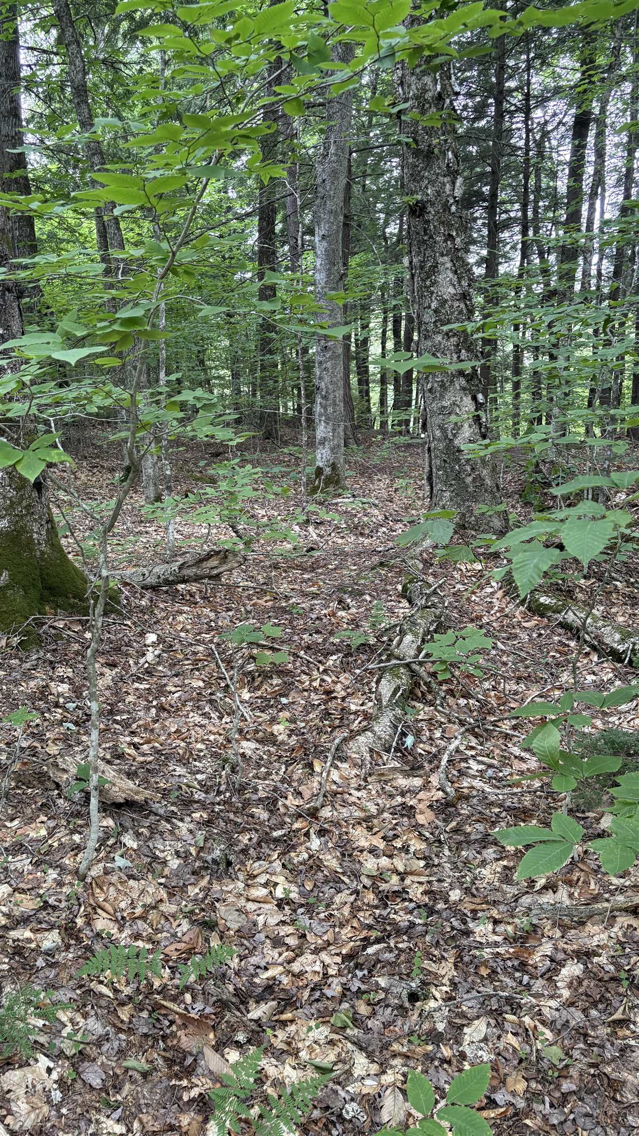 main property photo 22