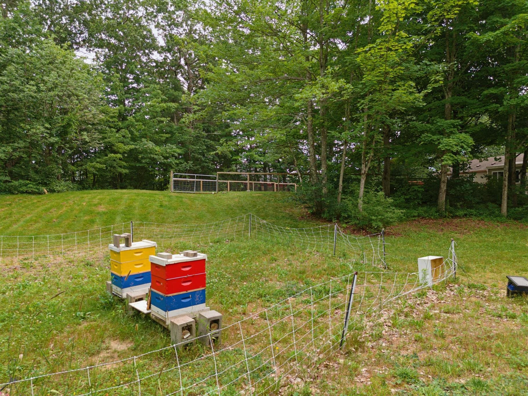 main property photo 32