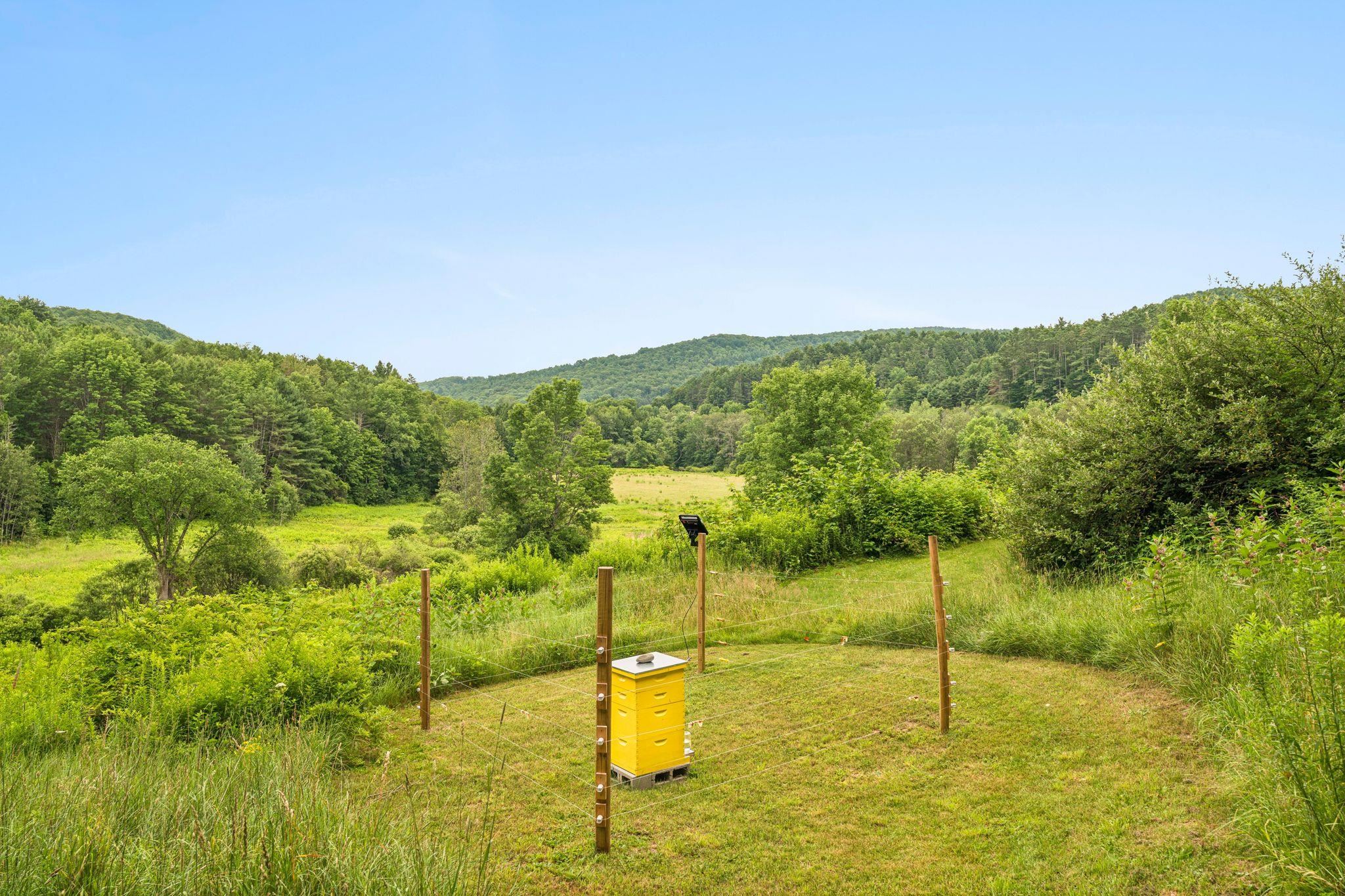 main property photo 40