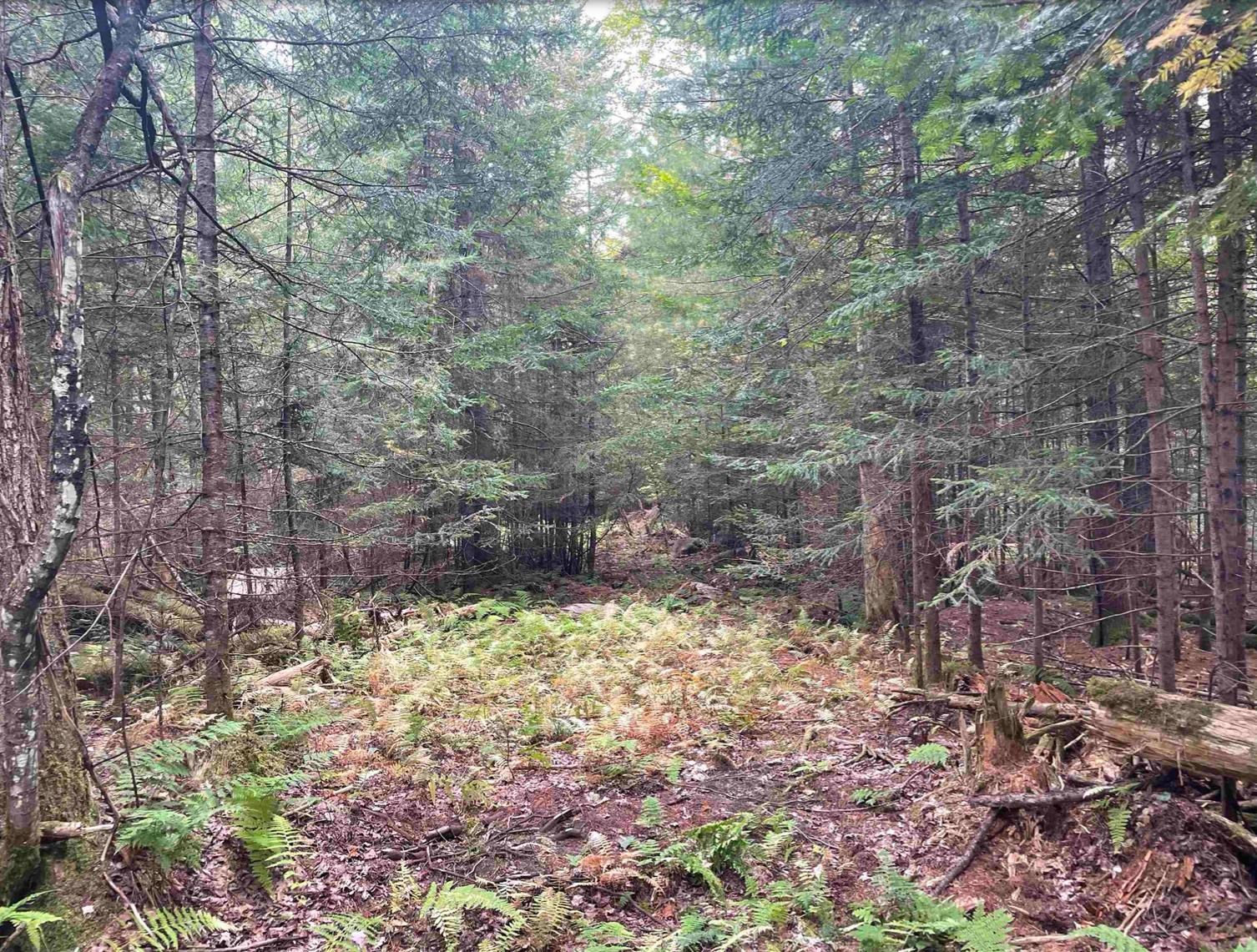 main property photo 25