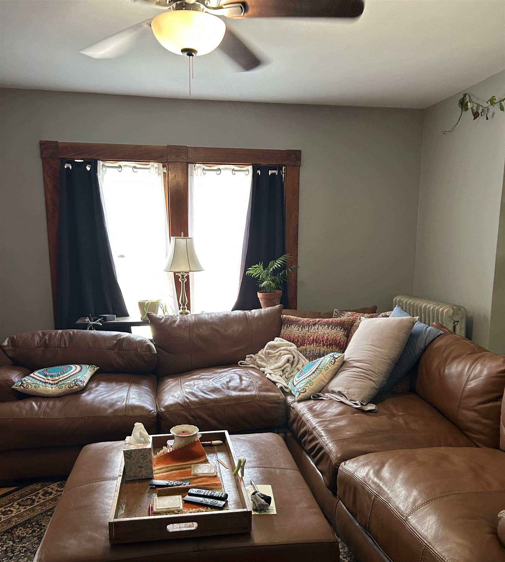 main property photo 32