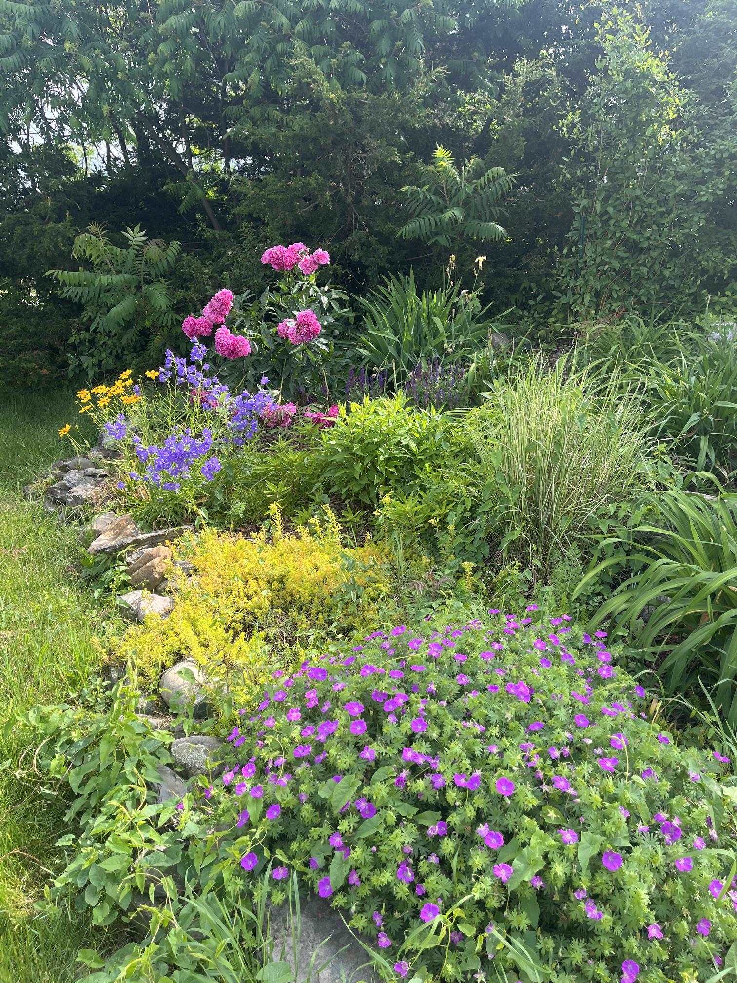 main property photo 43