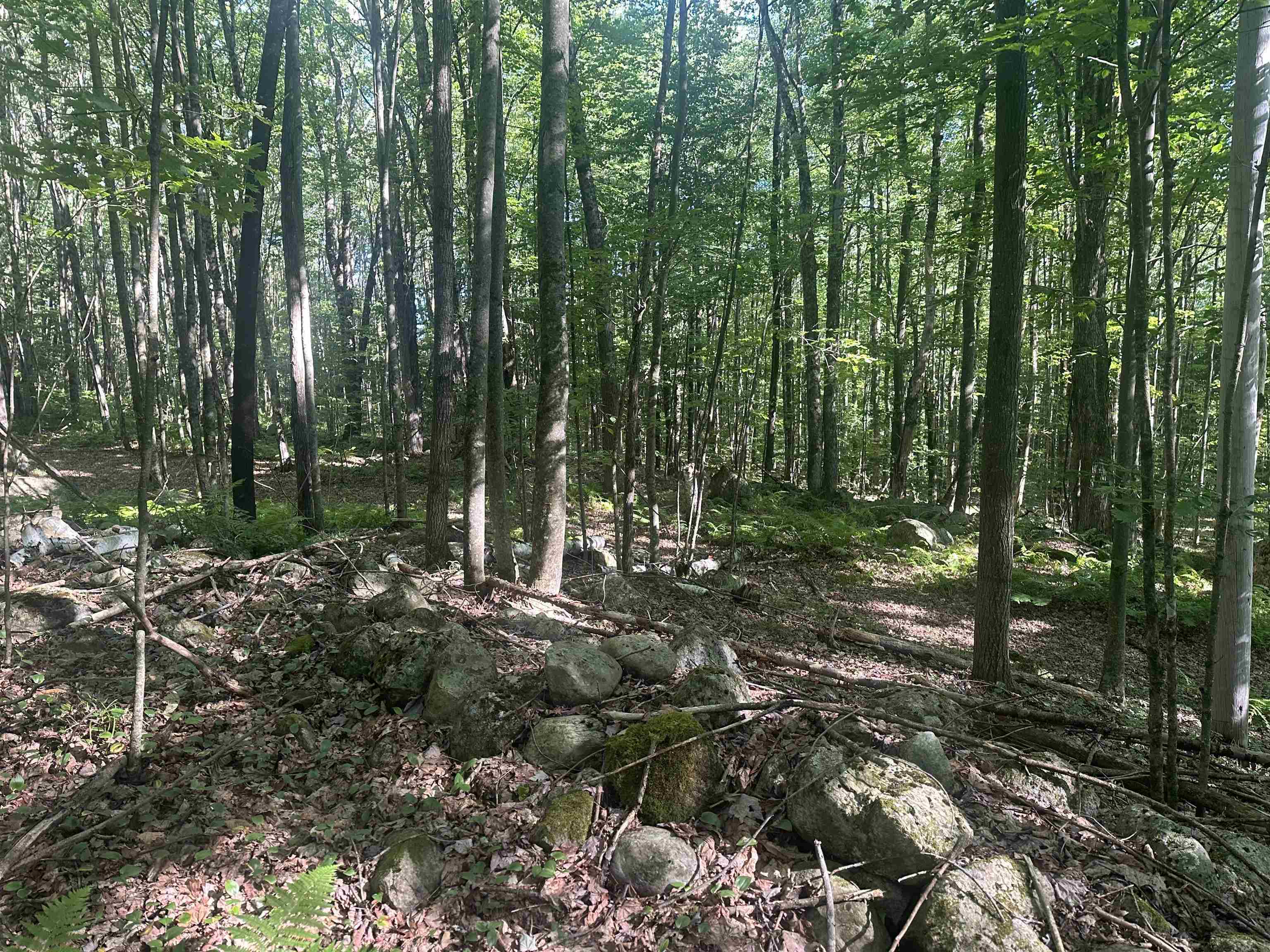 main property photo 39