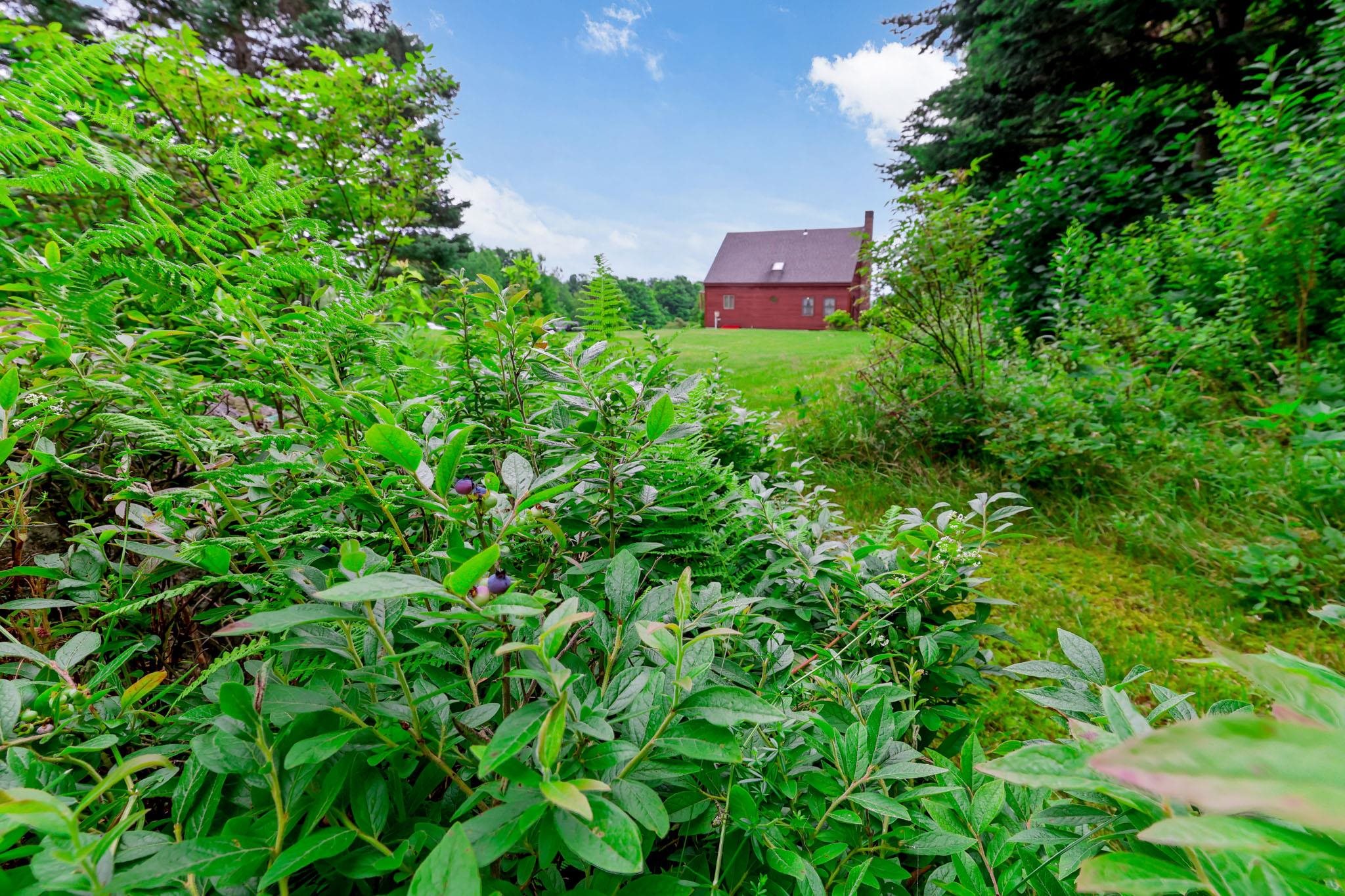 main property photo 49