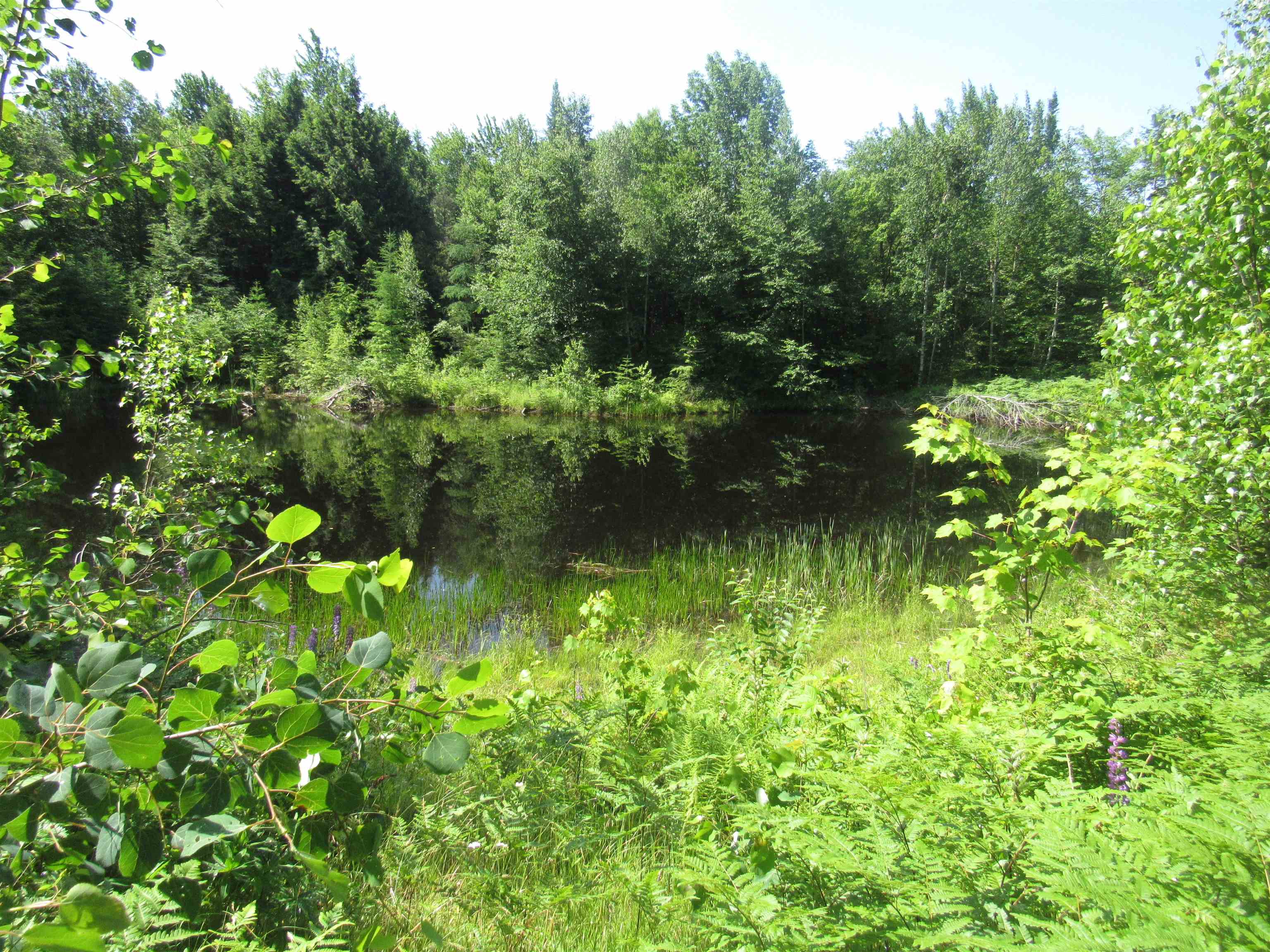 main property photo 21