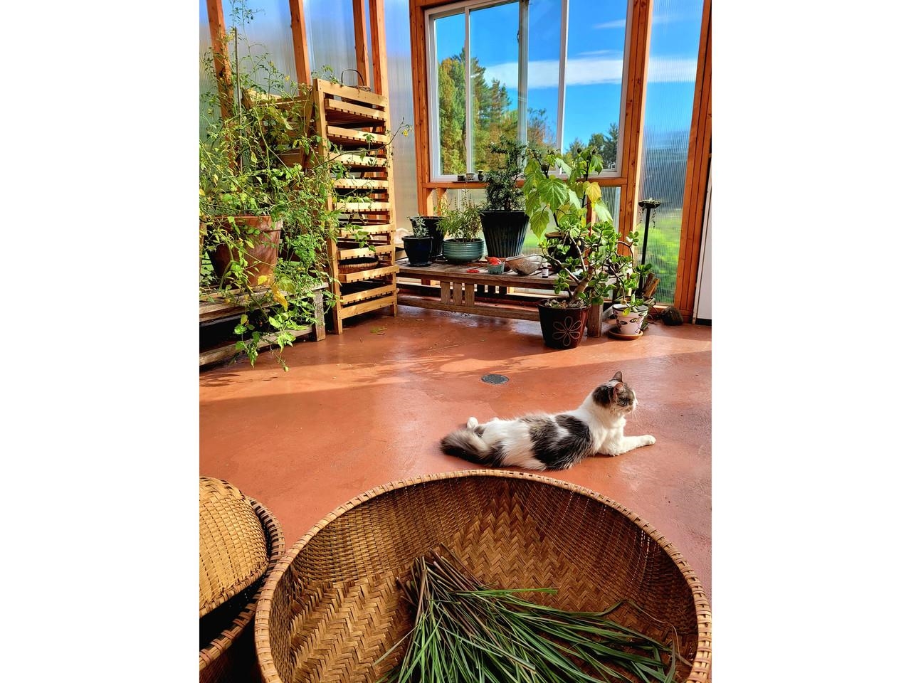 main property photo 50