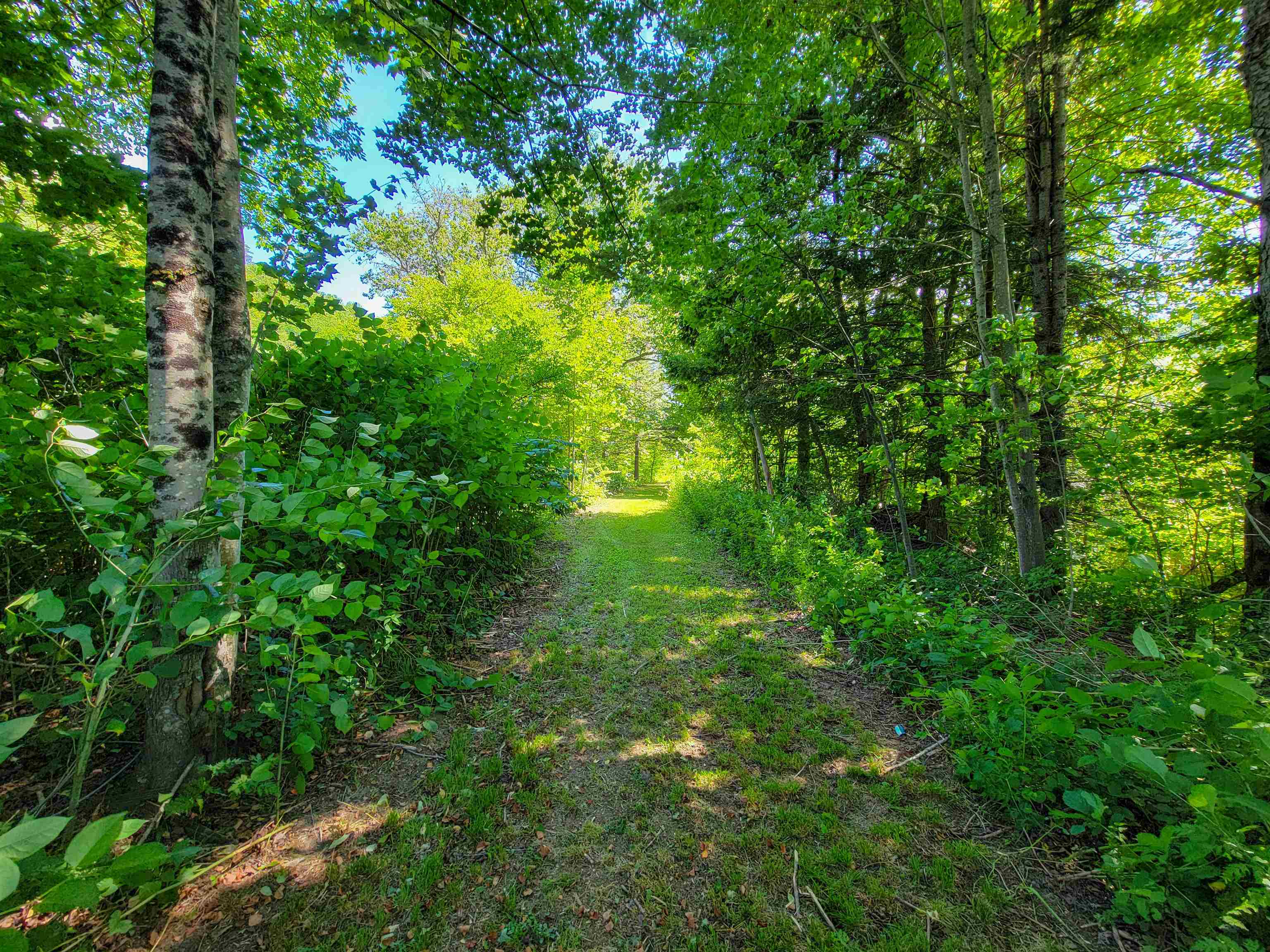 main property photo 53