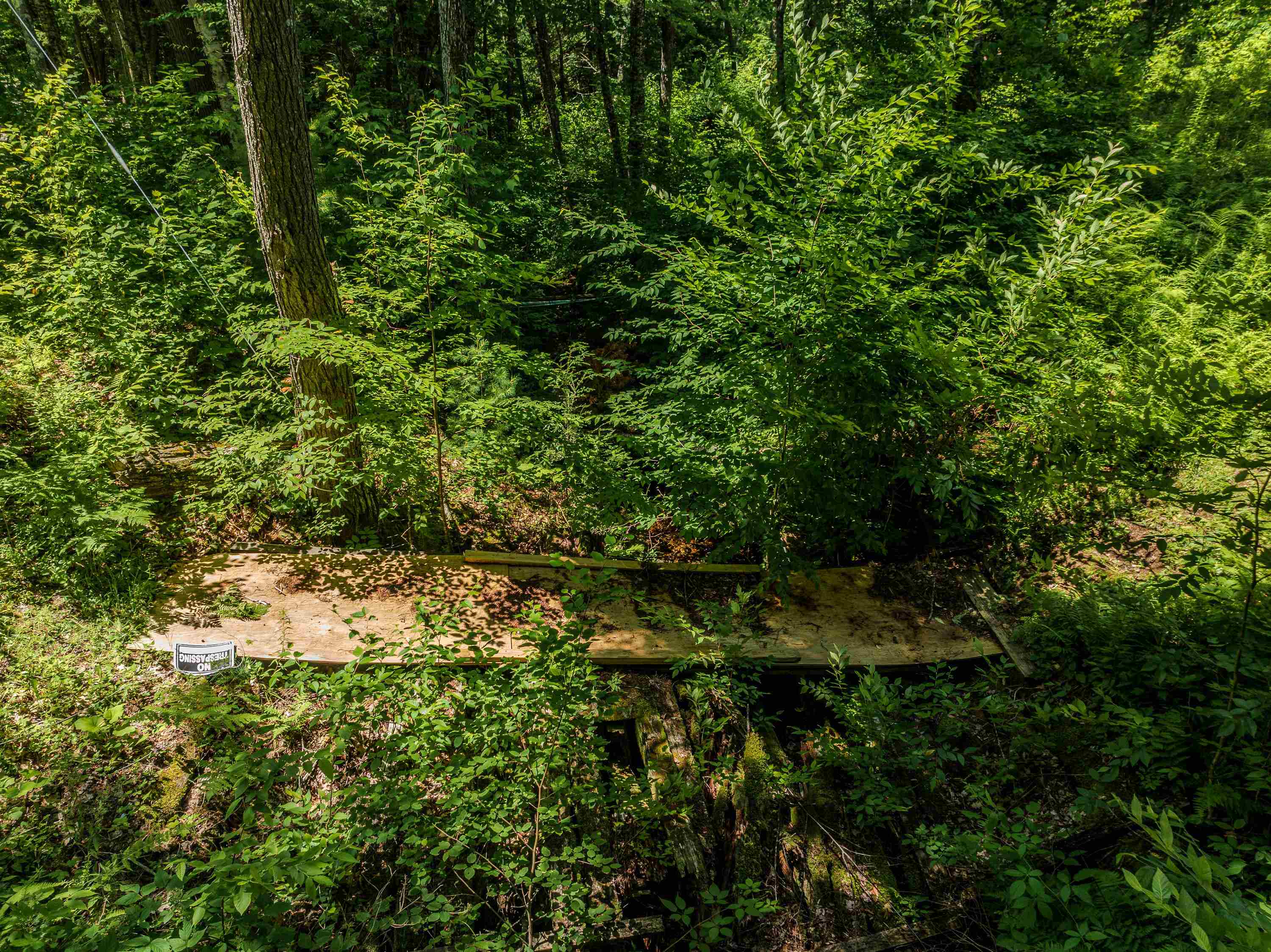 main property photo 32