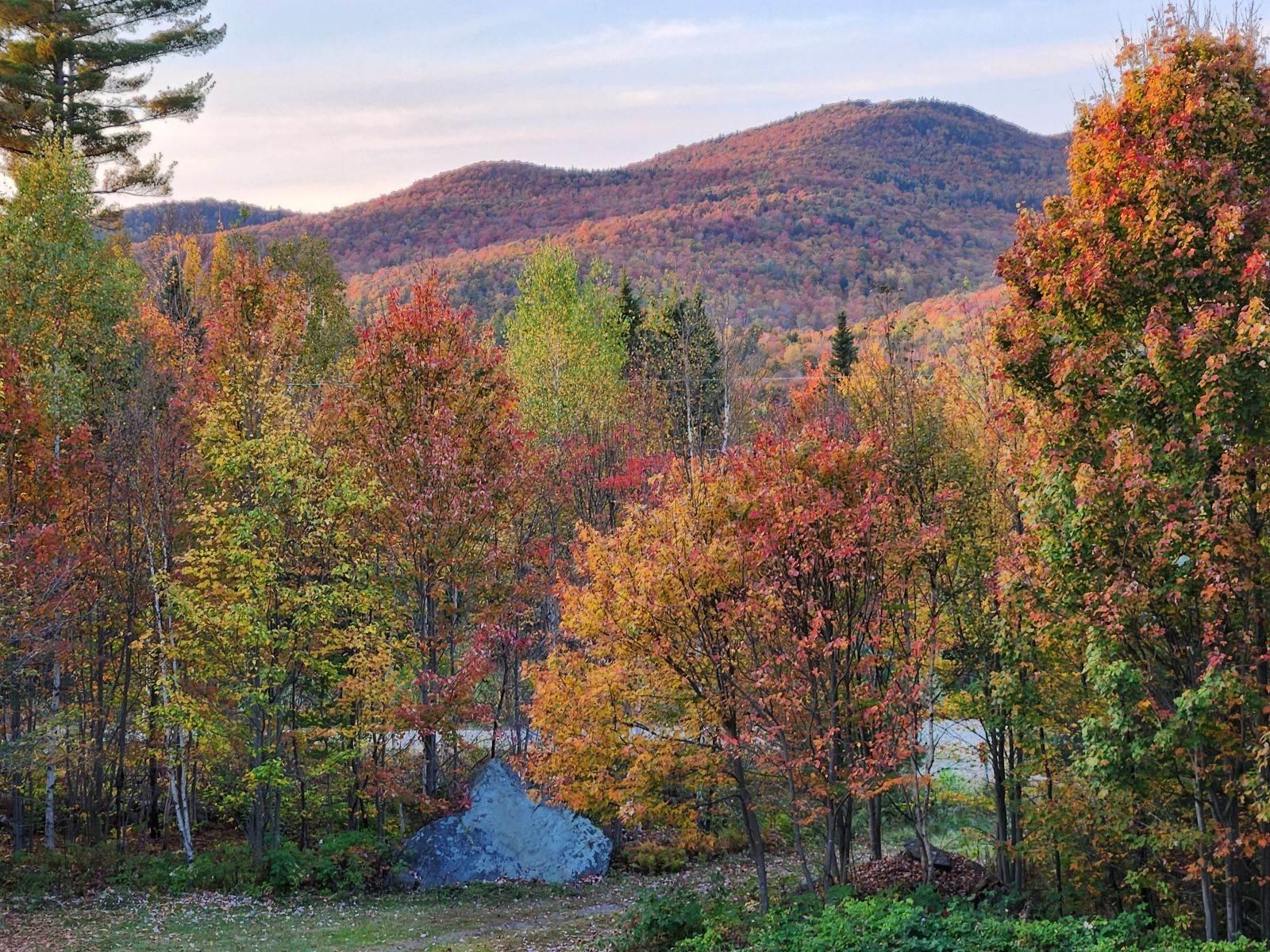 main property photo 59