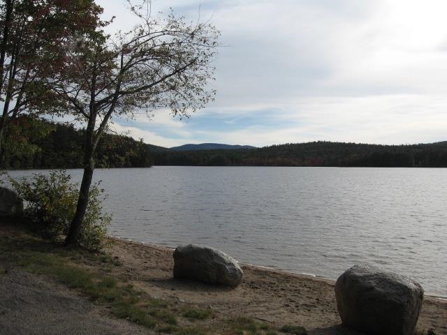 main property photo 53