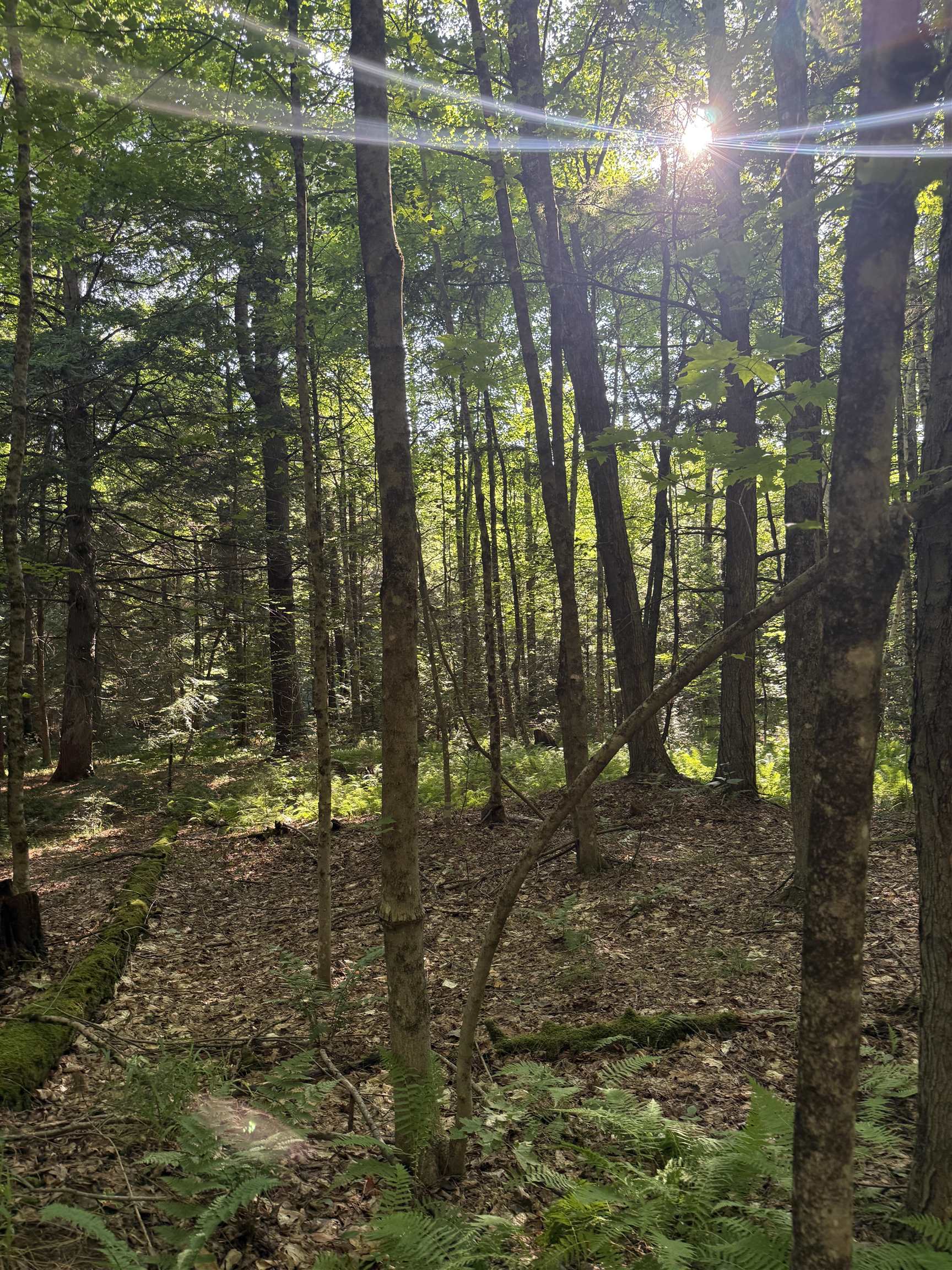 main property photo 9