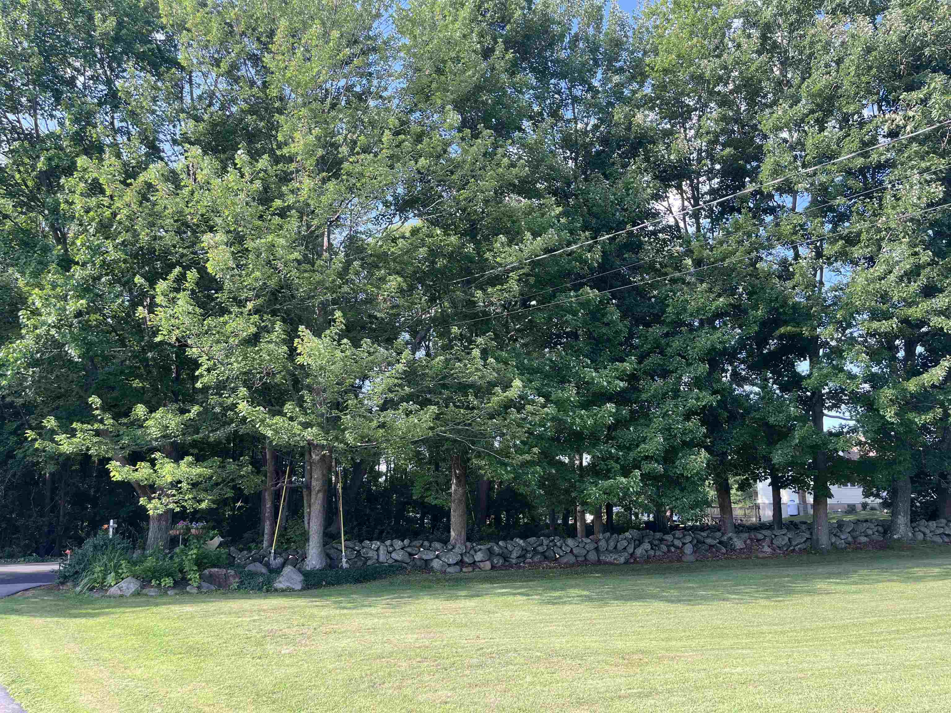main property photo 56