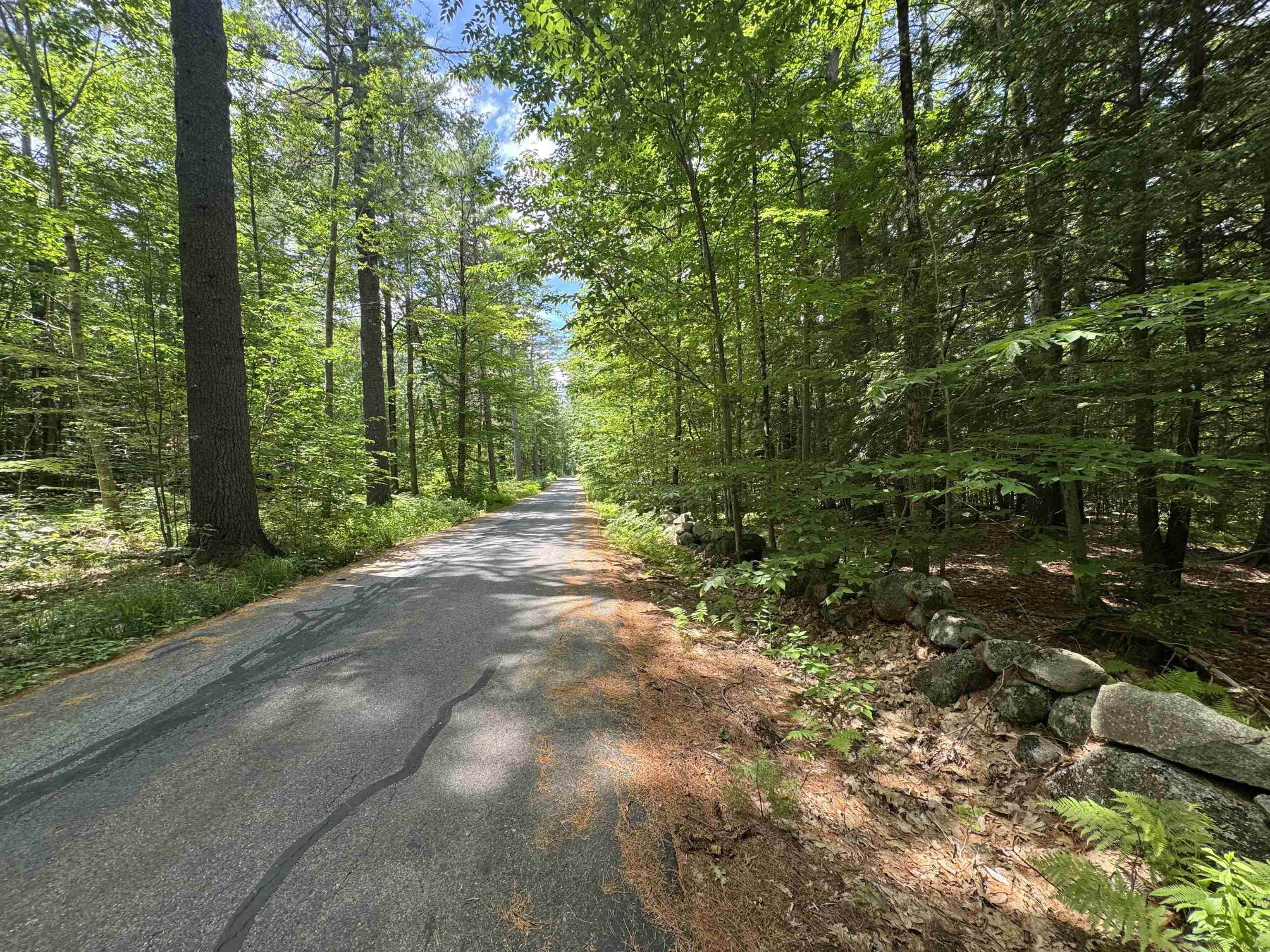 main property photo 59