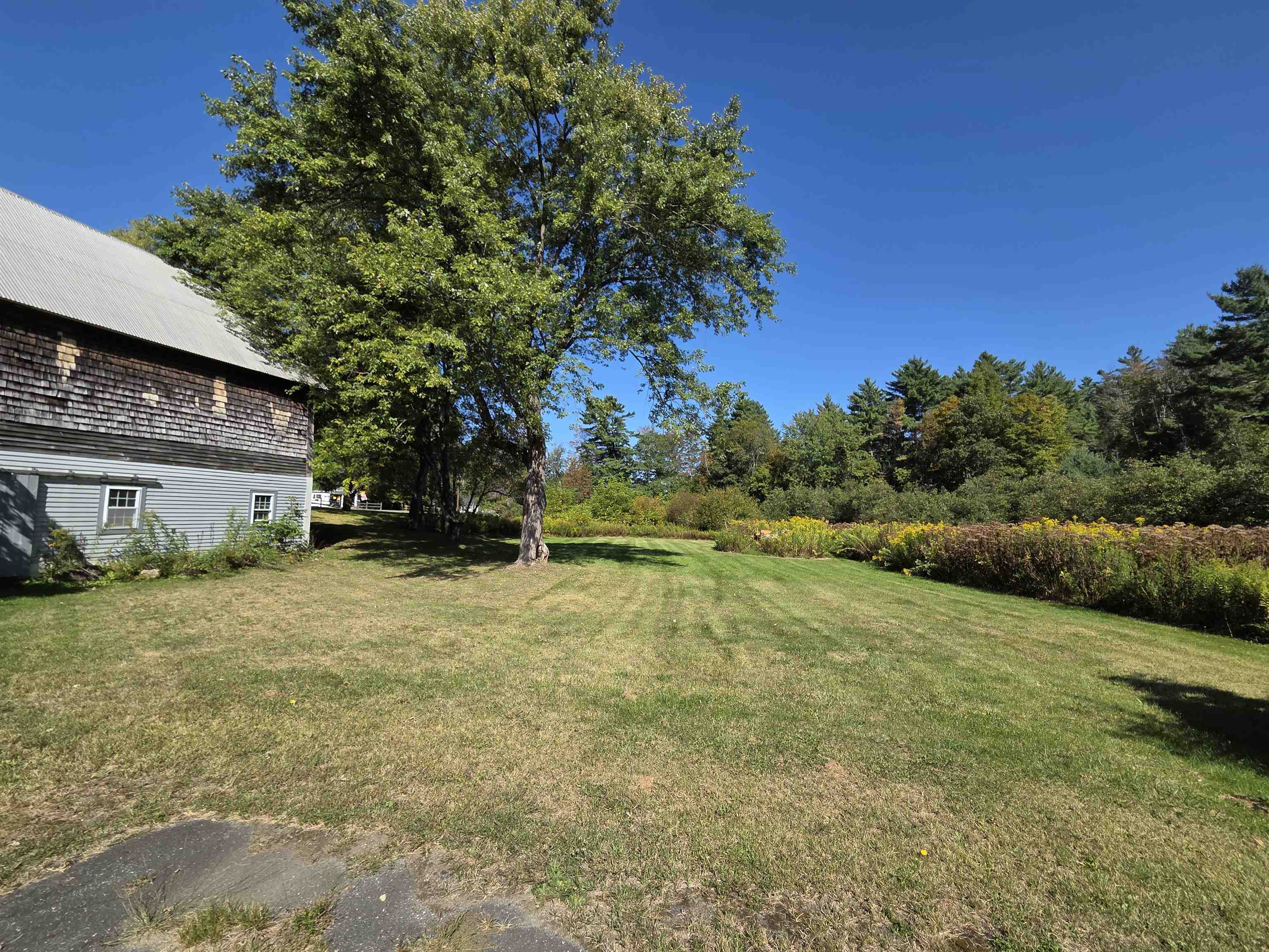 main property photo 42