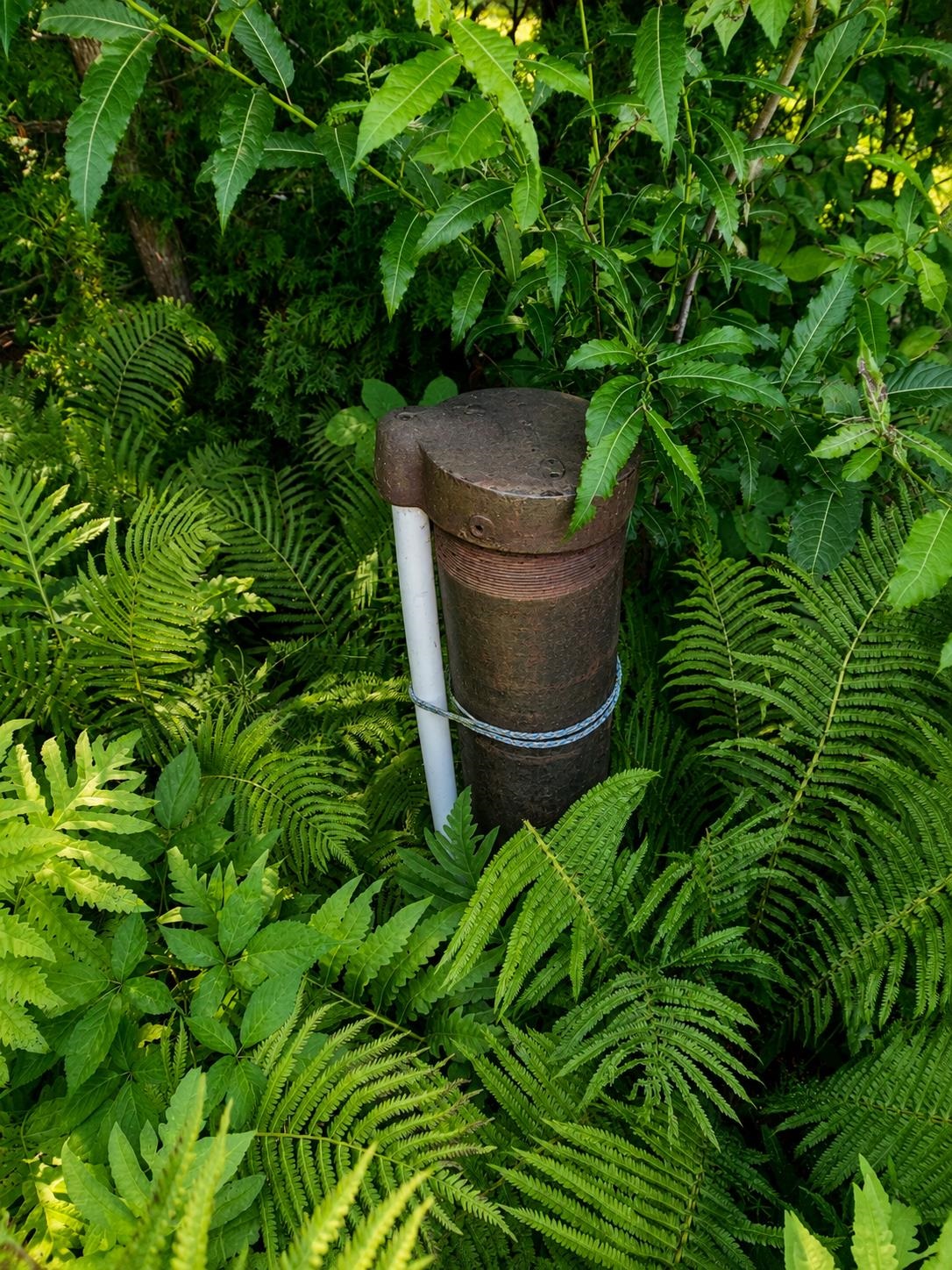 main property photo 32