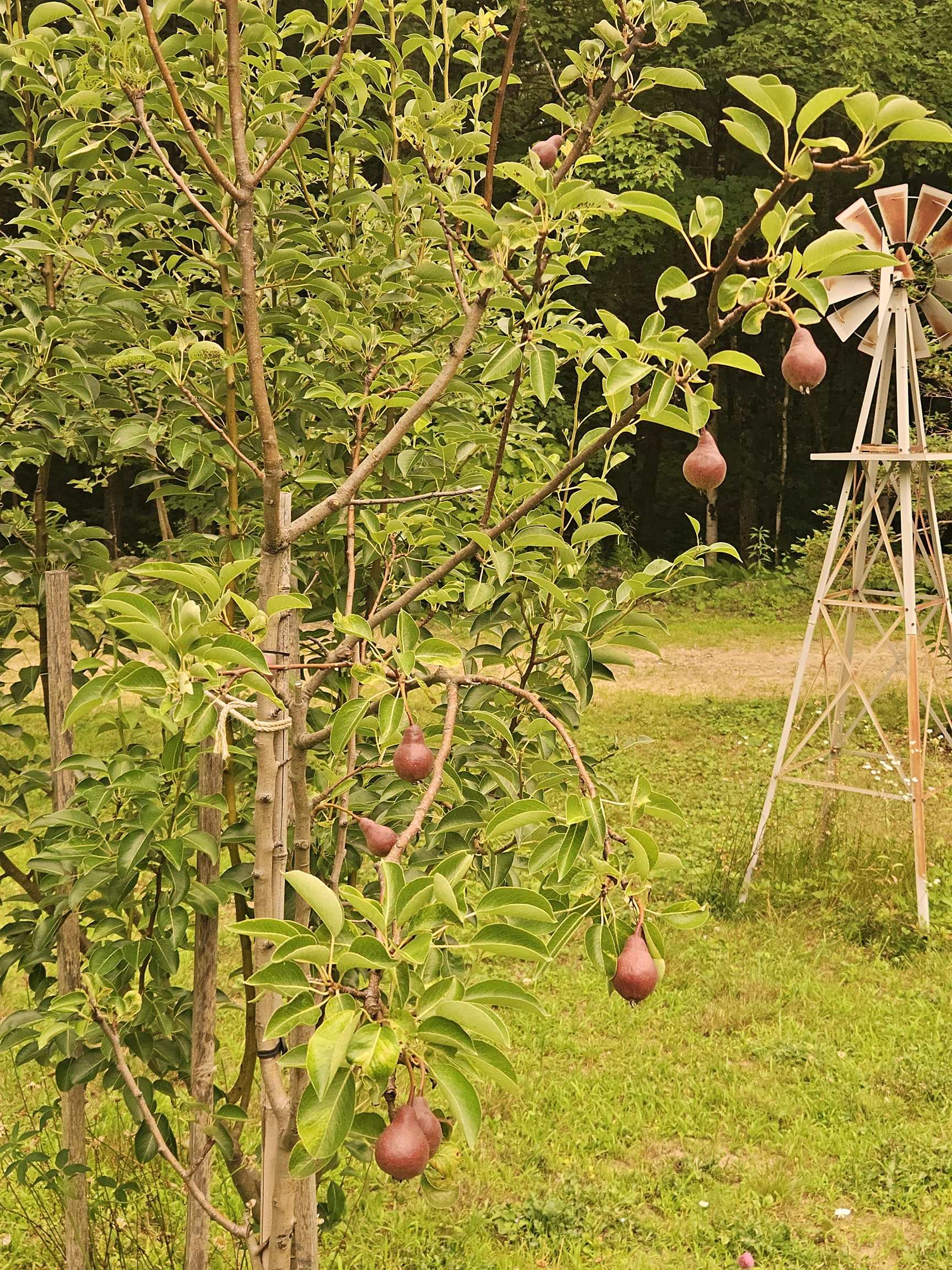 main property photo 58