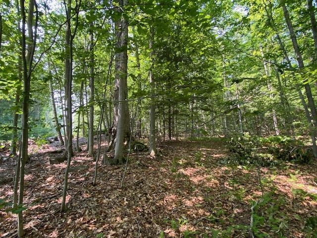 main property photo 8