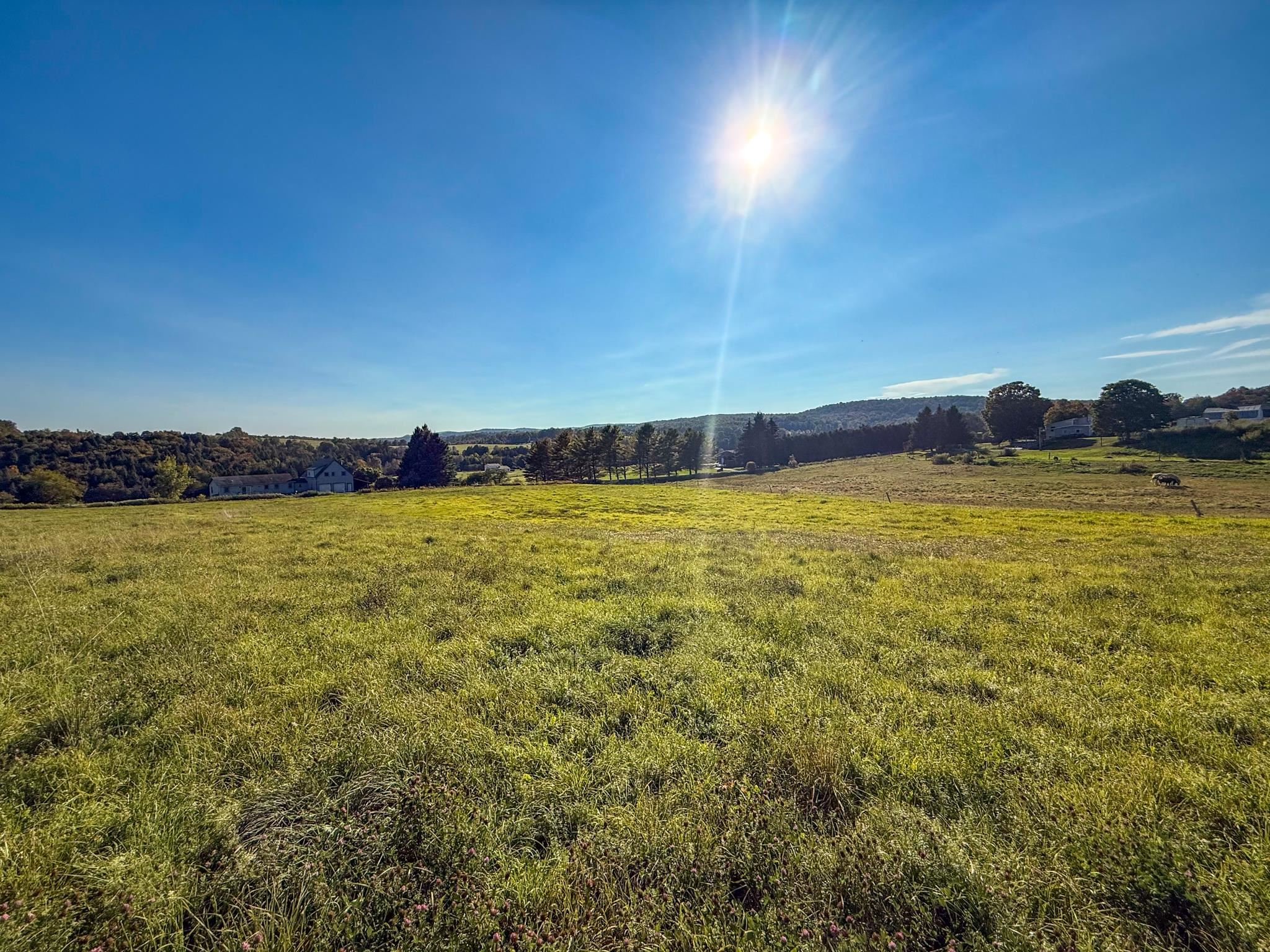 main property photo 7
